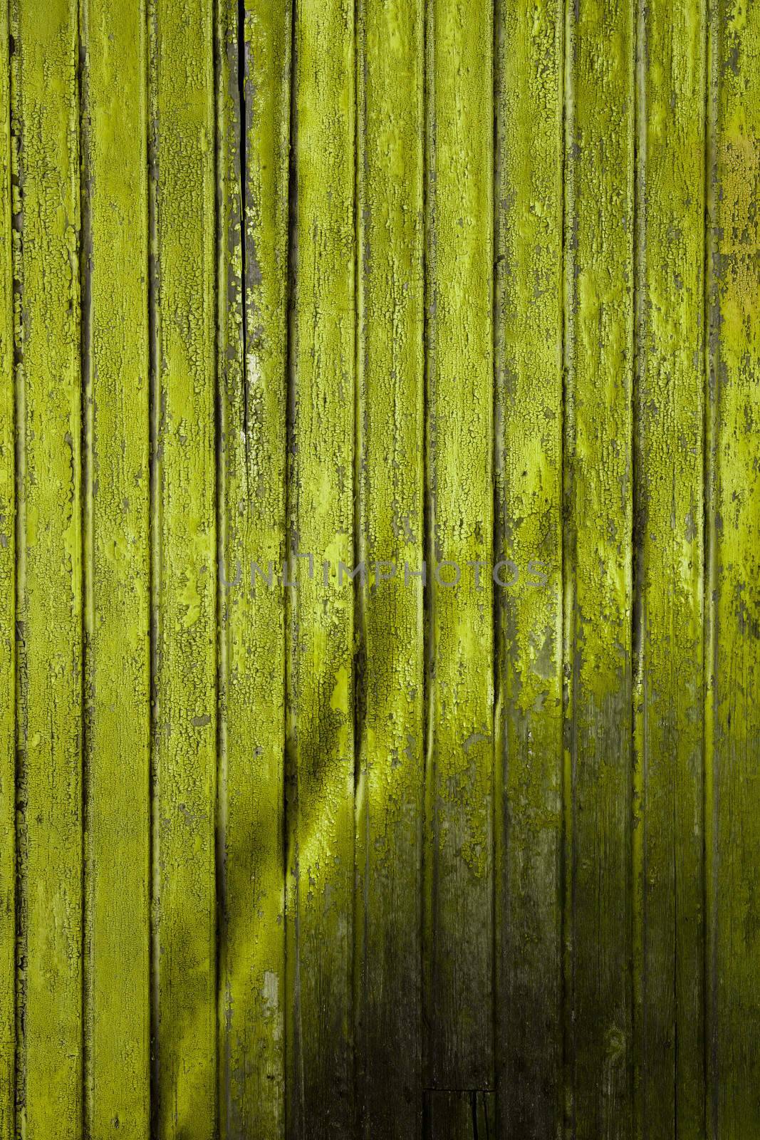 Background picture made of old green wood boards
