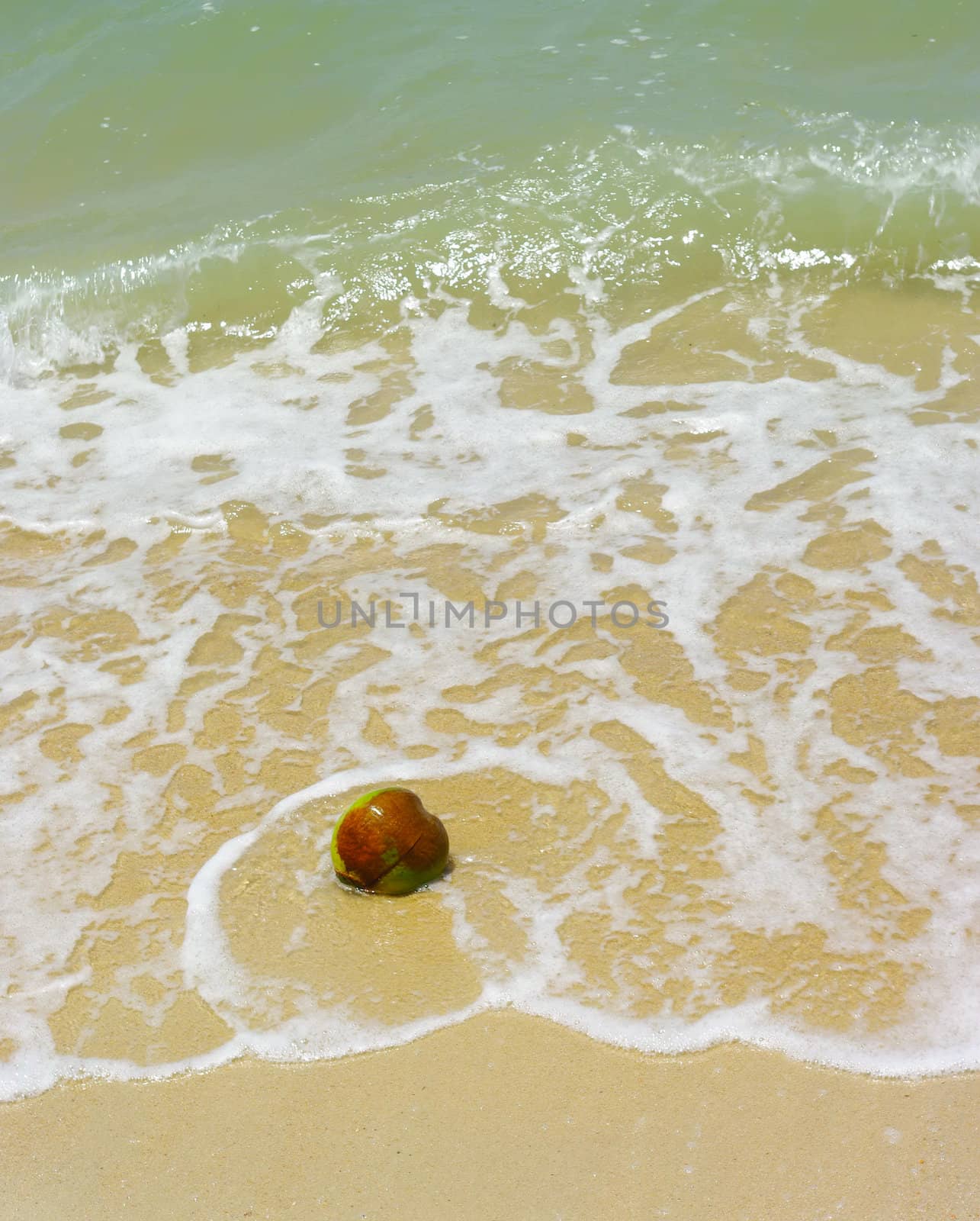 Coconut fruit on beach with sea wave by pixbox77