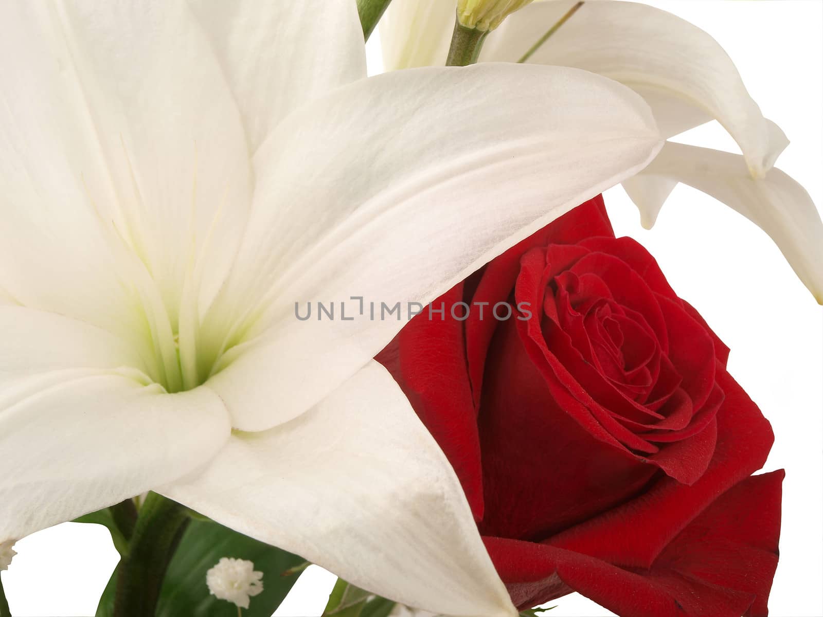 flower arrangement - lily and red rose          