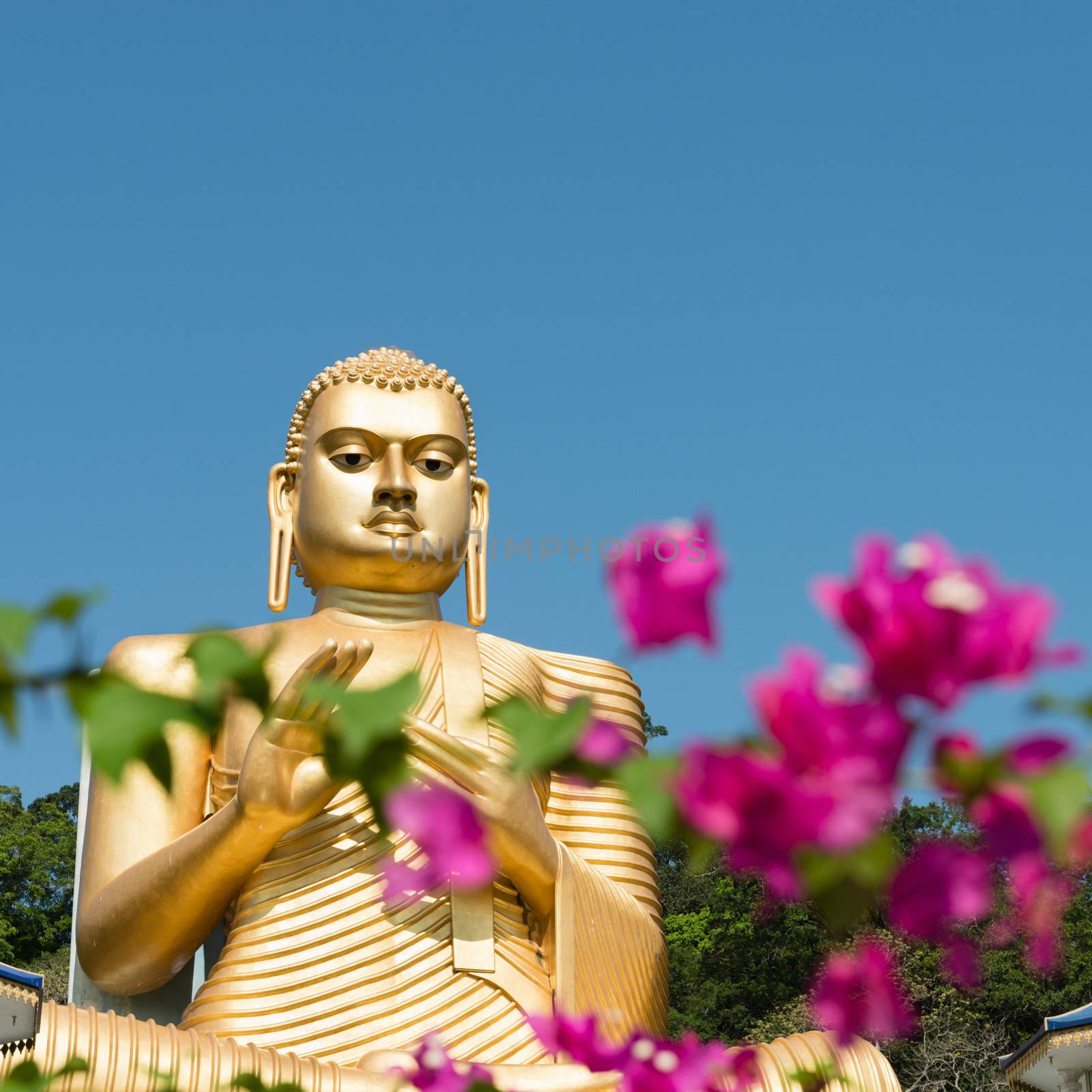 Golden Temple of Dambulla, Sri Lanka by iryna_rasko