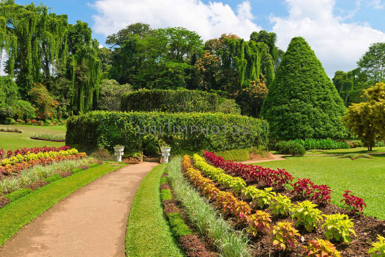 Beautiful tropical Royal Botanical Gardens, Peradeniya, Kandy, Sri Lanka