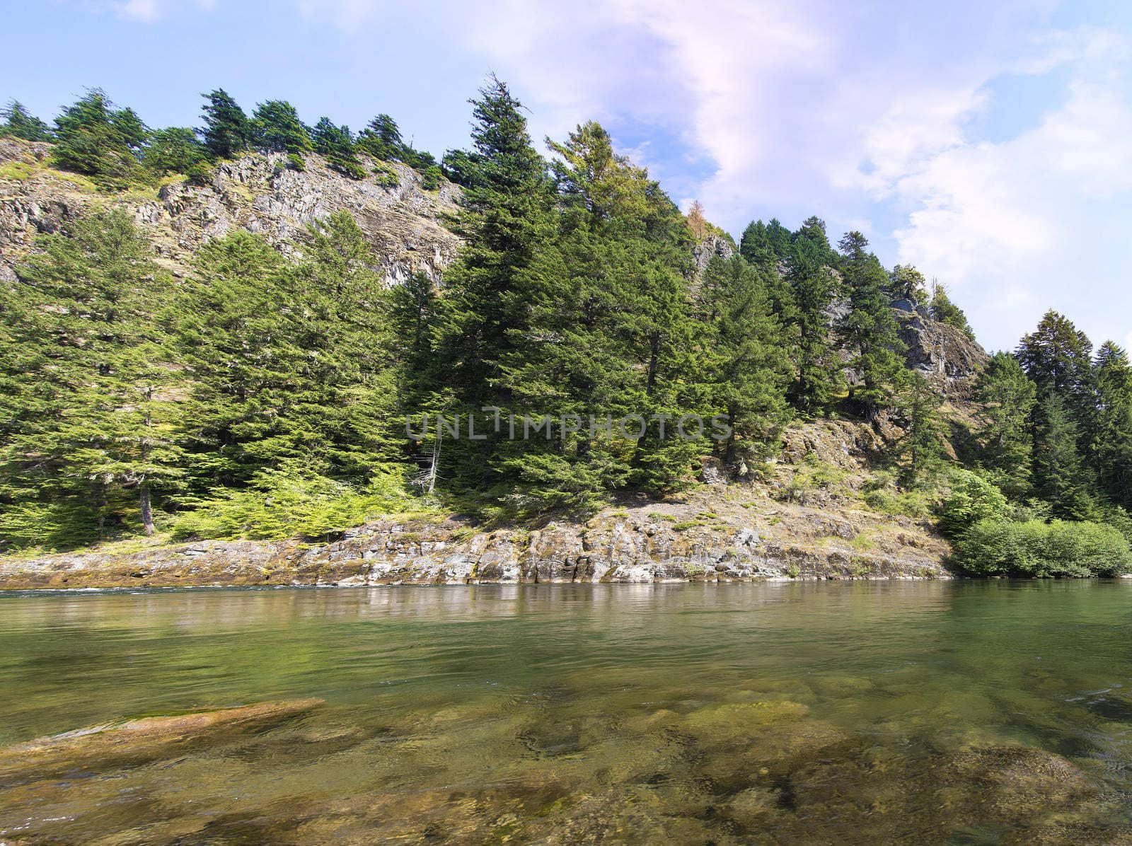 Lewis River Landscape in Gifford Pinchot National Forest in Skamania County Washington State