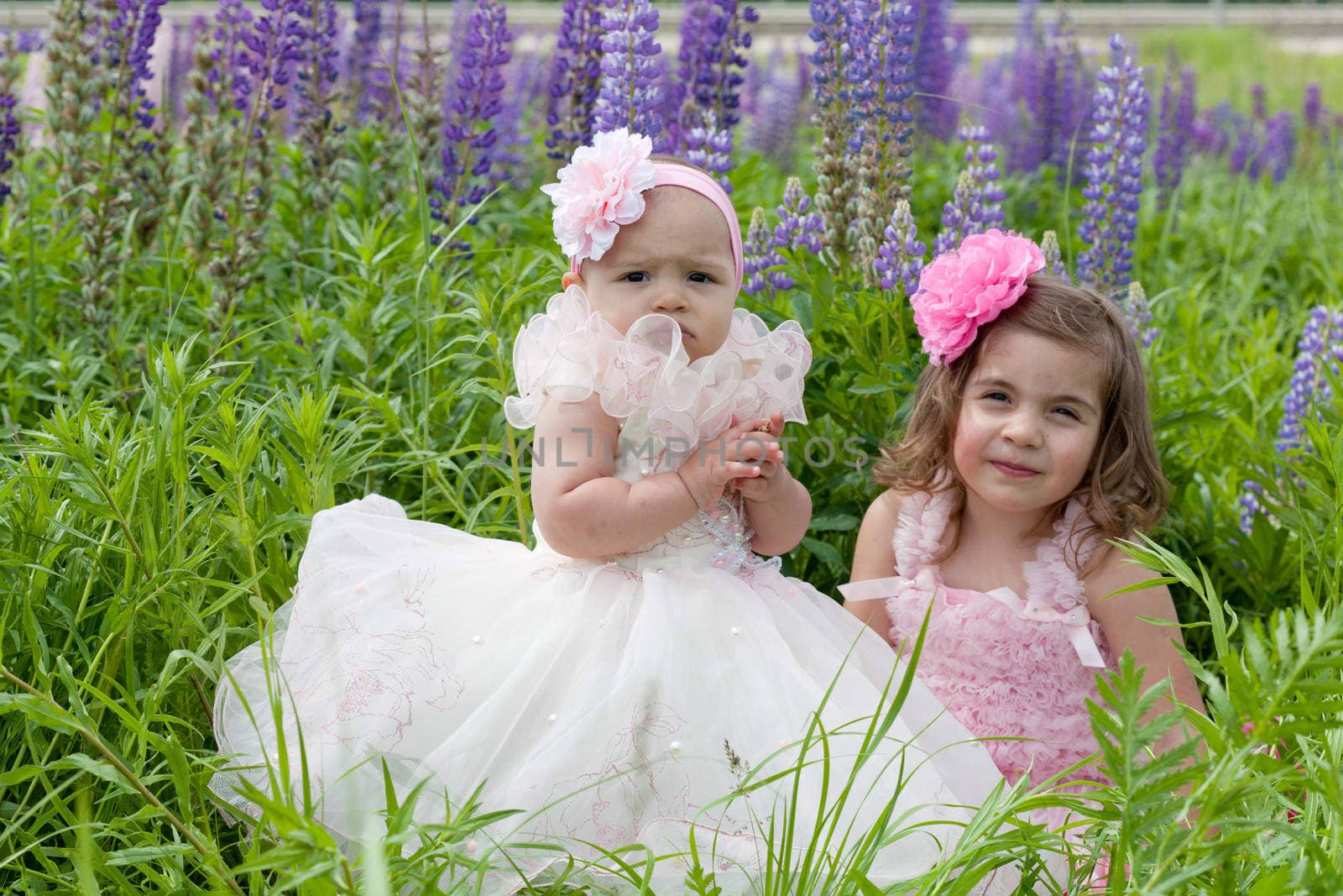 Two girls in elegant dresses near blossoming lupines
