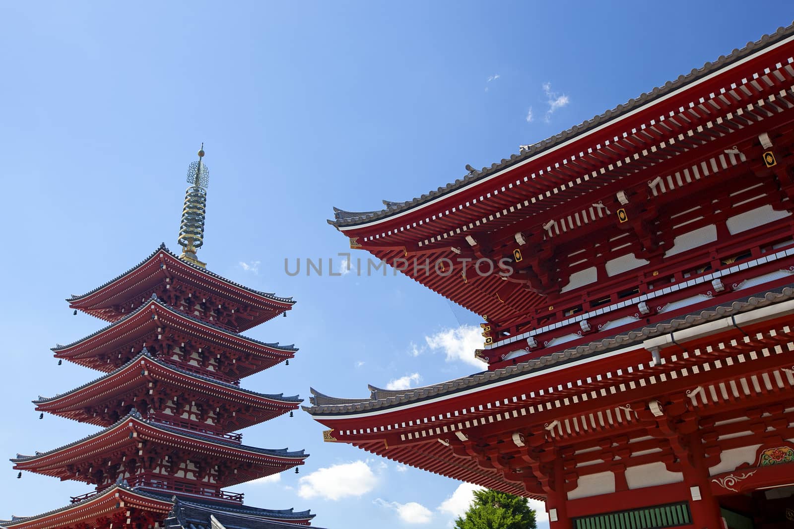 The Asakusa temple with the pagoda at daytime in Tokyo