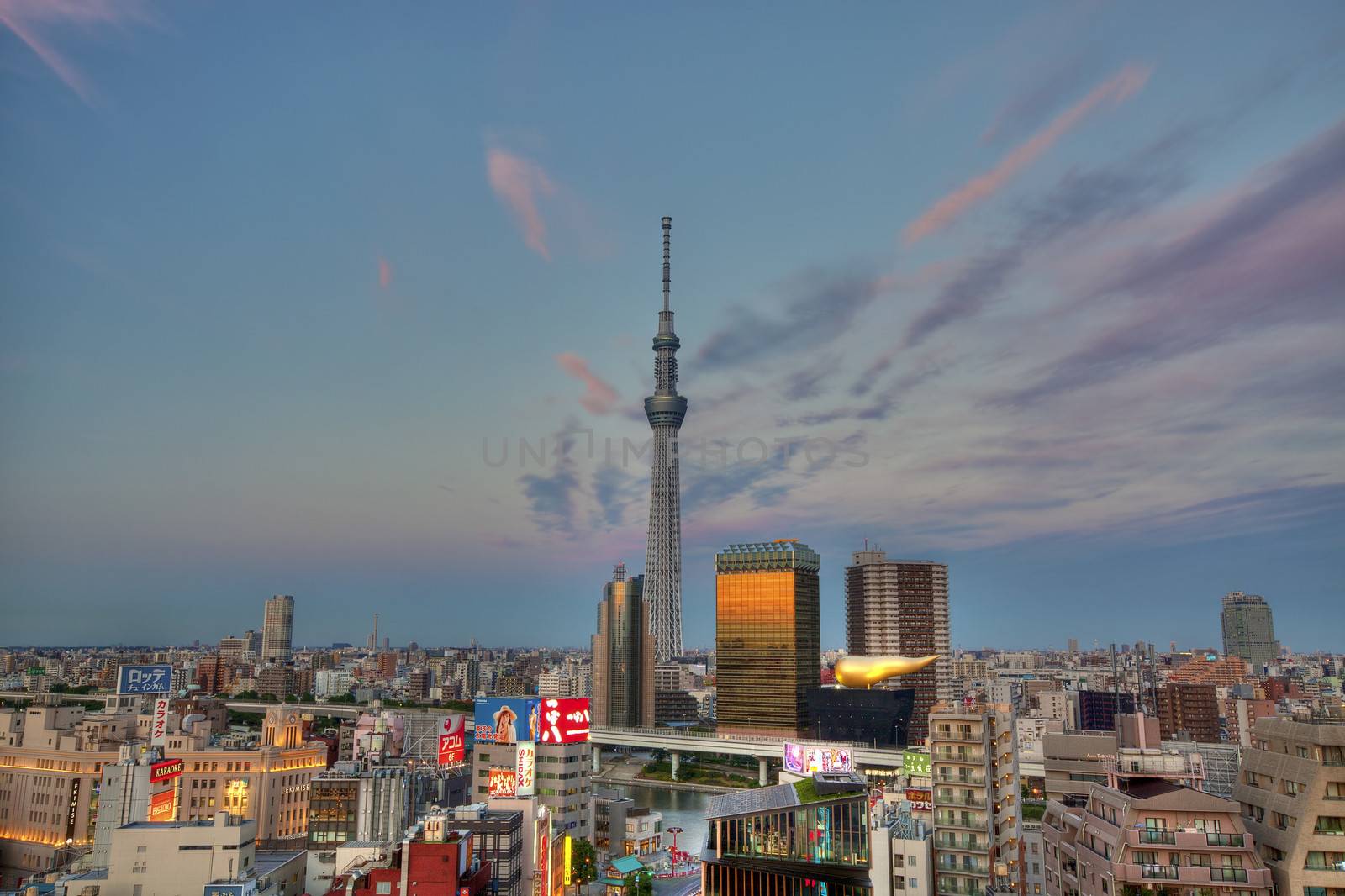 View over Tokyo city at sunset