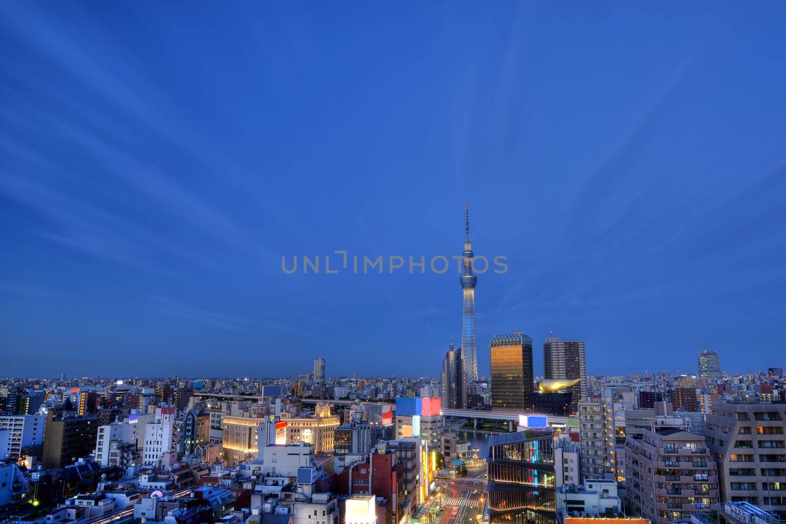 View over Tokyo city at sunset