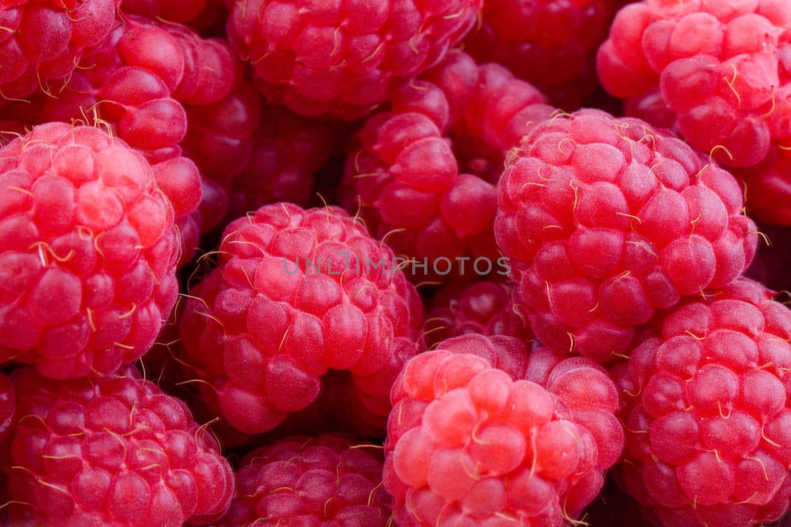 Raspberries background by Gbuglok