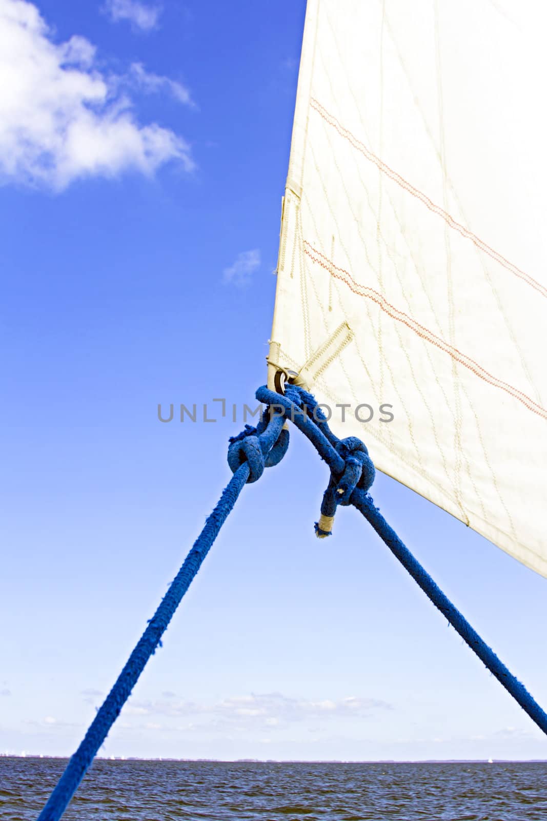 Detail Genua Sail