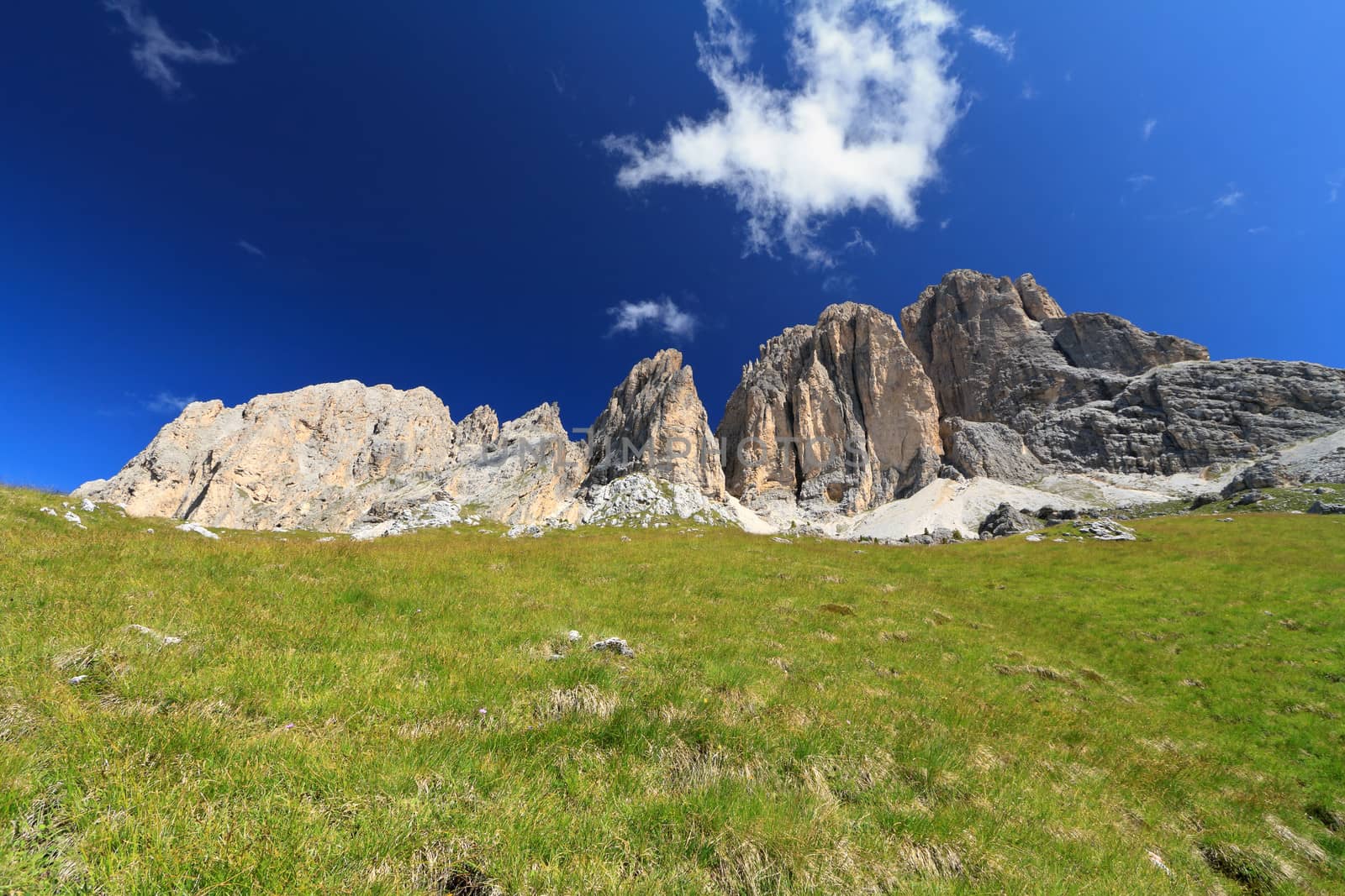 summer view of Sassopiatto and Sassolungo mount, Fassa Valley, Trentino, Italy