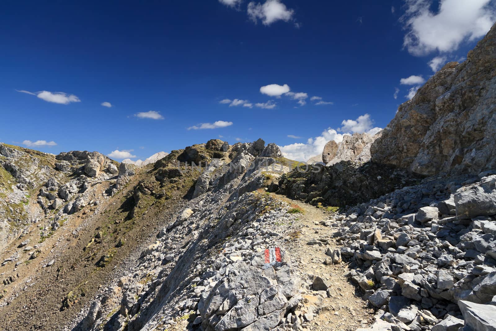 footpath on mountain ridge in San Pellegrino valley, Trentino, Italy