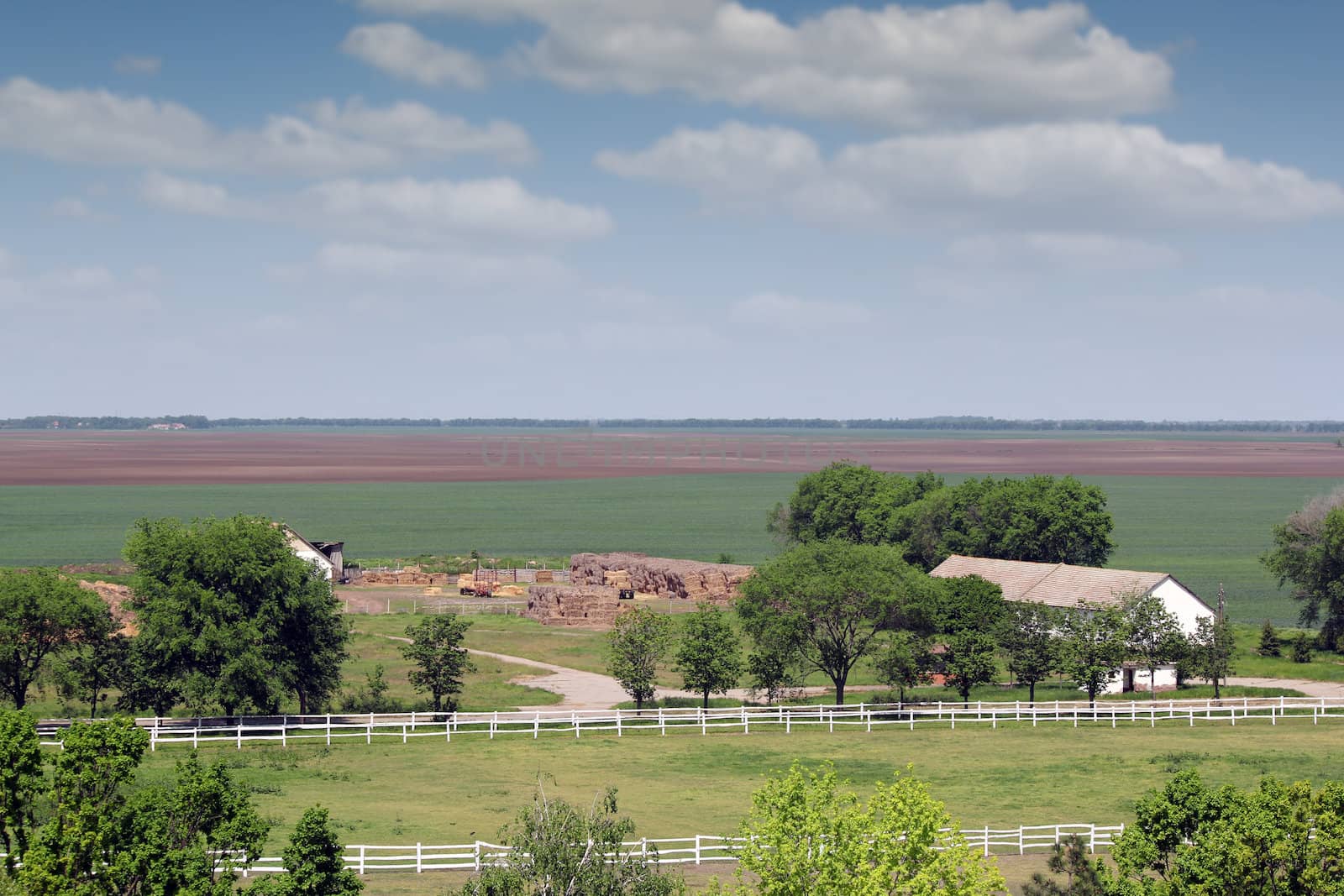farmland with horse corral landscape by goce