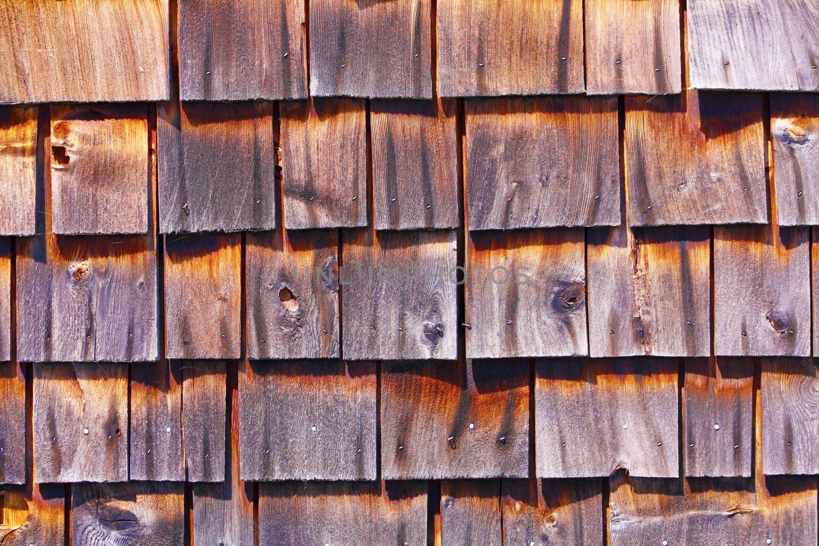 Wooden Roof by zager