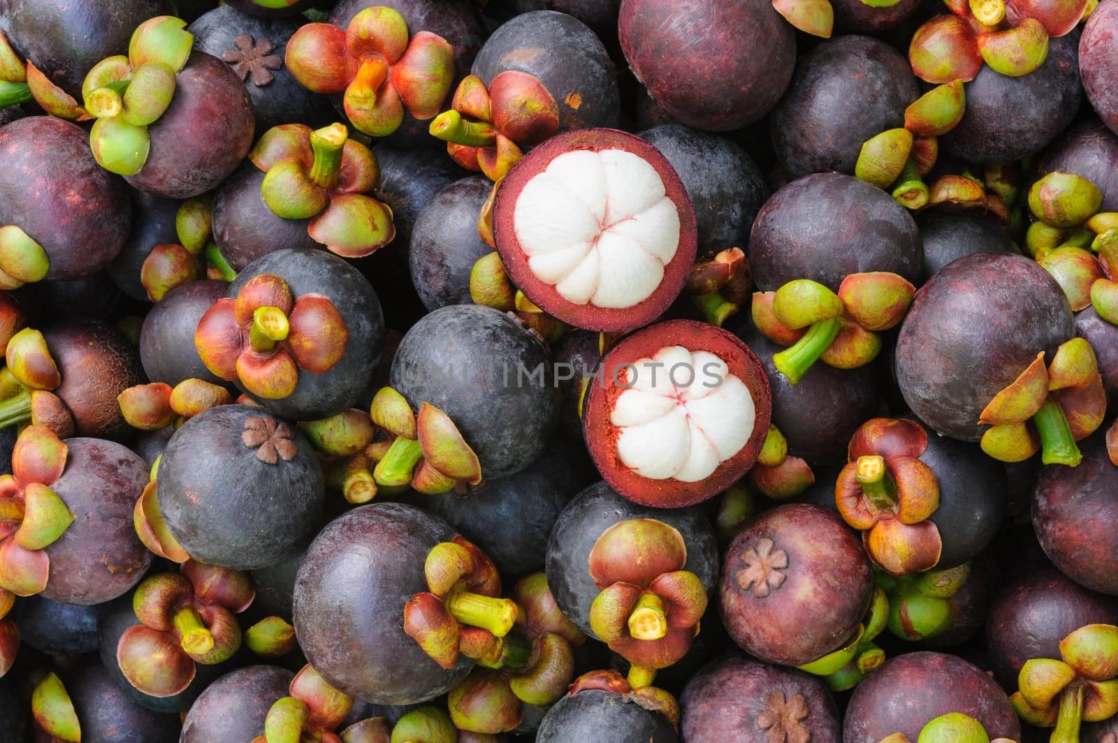 Fresh organic mangosteen Thai fruit. by ngungfoto