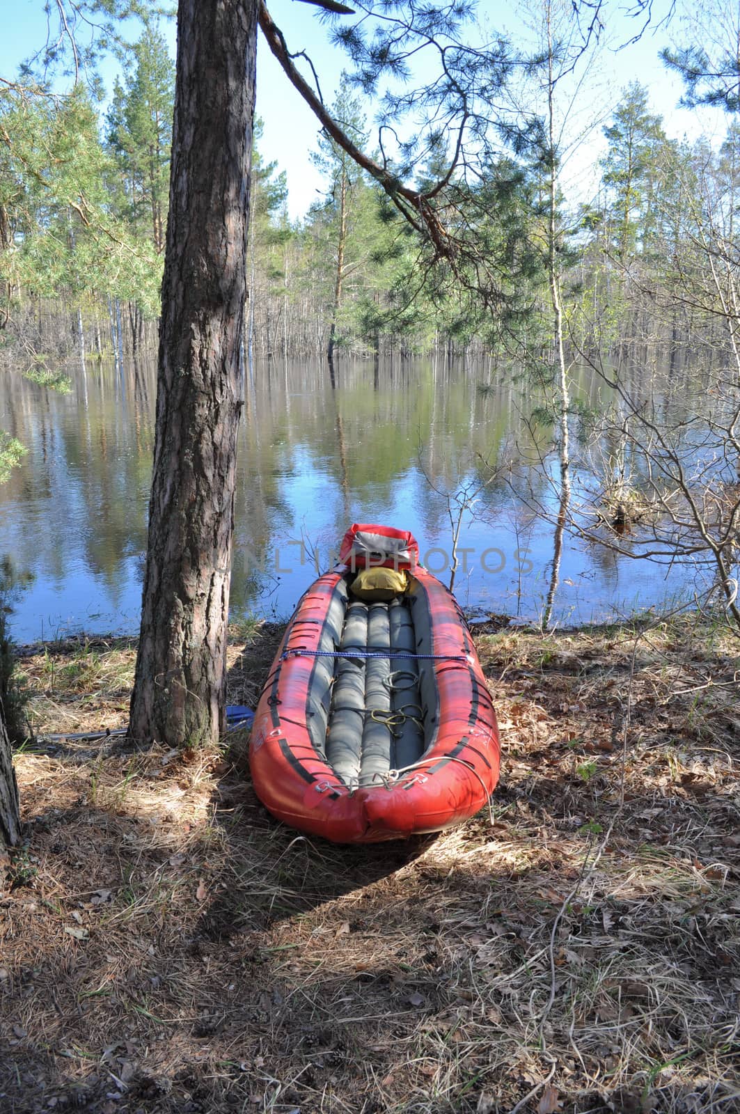 Landscapes and detail of the nature in the forest on the river Bank in early may. Russia, the national Park "Meshchersky.