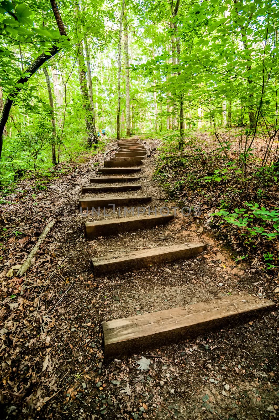 things you find on a hiking trail in state park