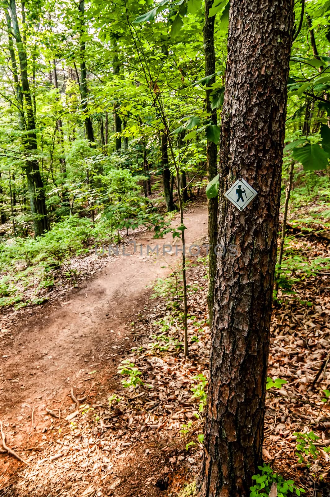 Hiking trail sign on the forest paths