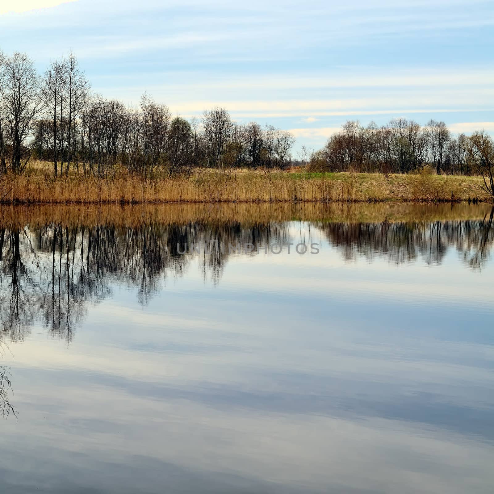 Spring near lake, early morning. Sky reflexion on a water