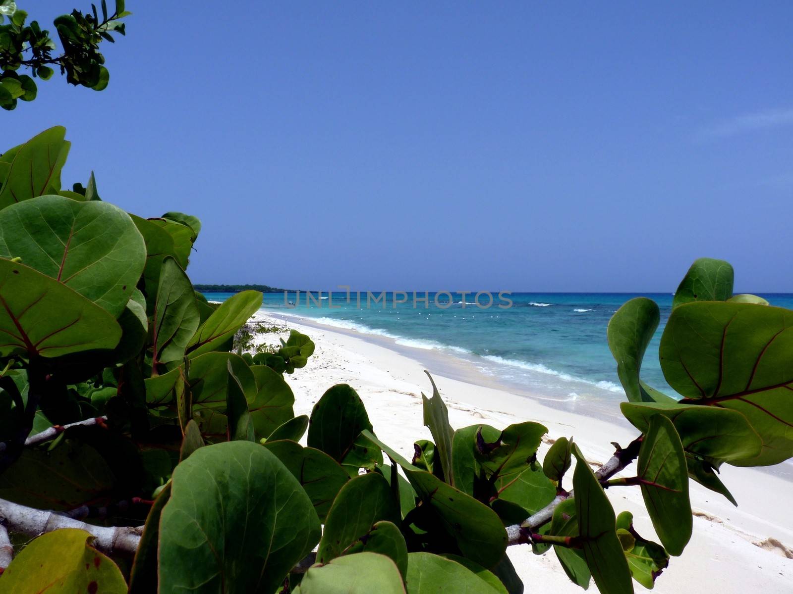 Tropical beach, Catalina Island in Dominican Republic