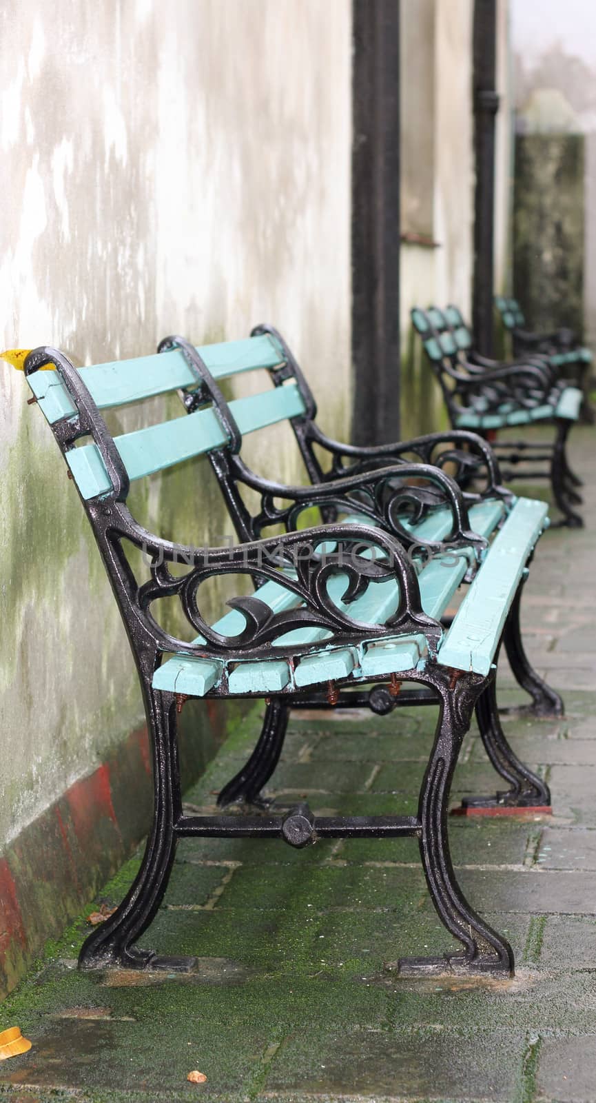 A row of painted wood and wrought iron benches lining a moss covered path through a church courtyard