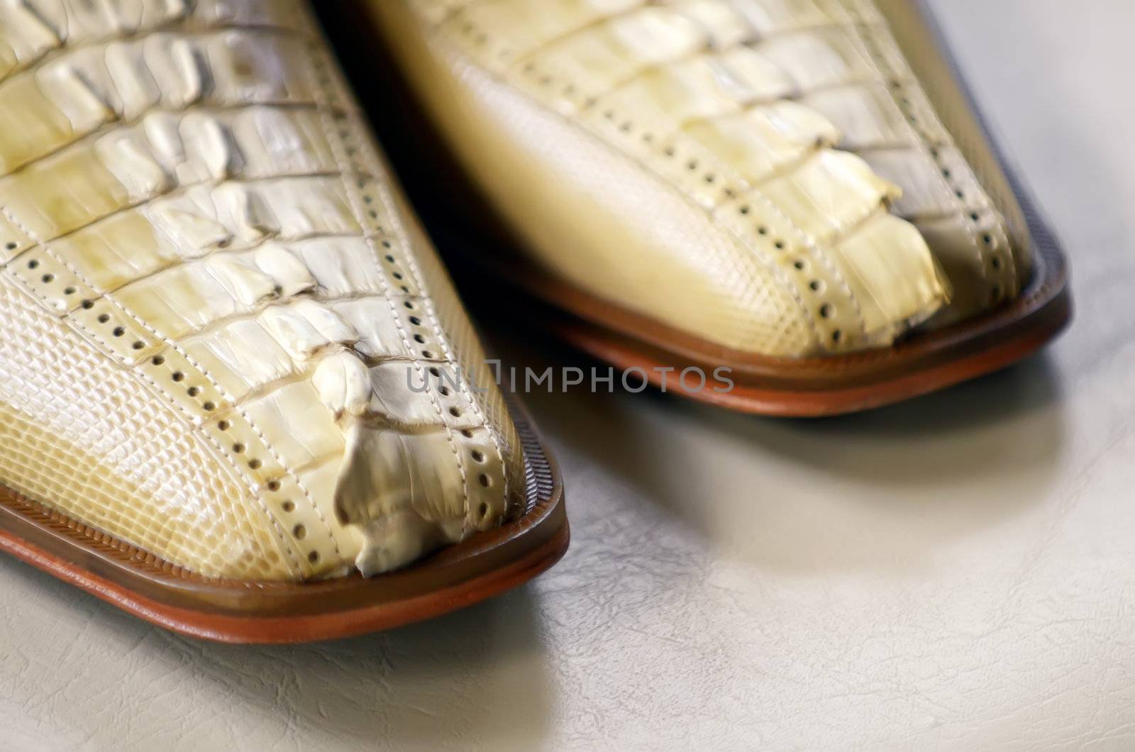 Closeup of man's dress crocodile shoes