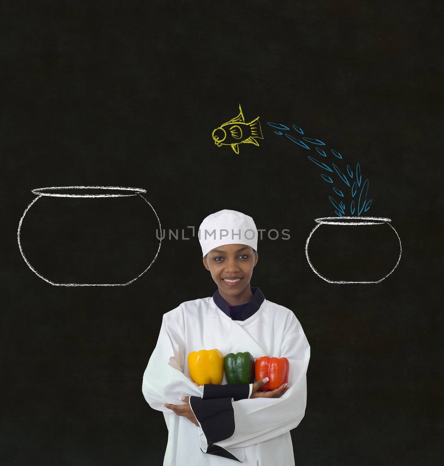 Woman chef jumping fish decision chalk blackboard background by alistaircotton