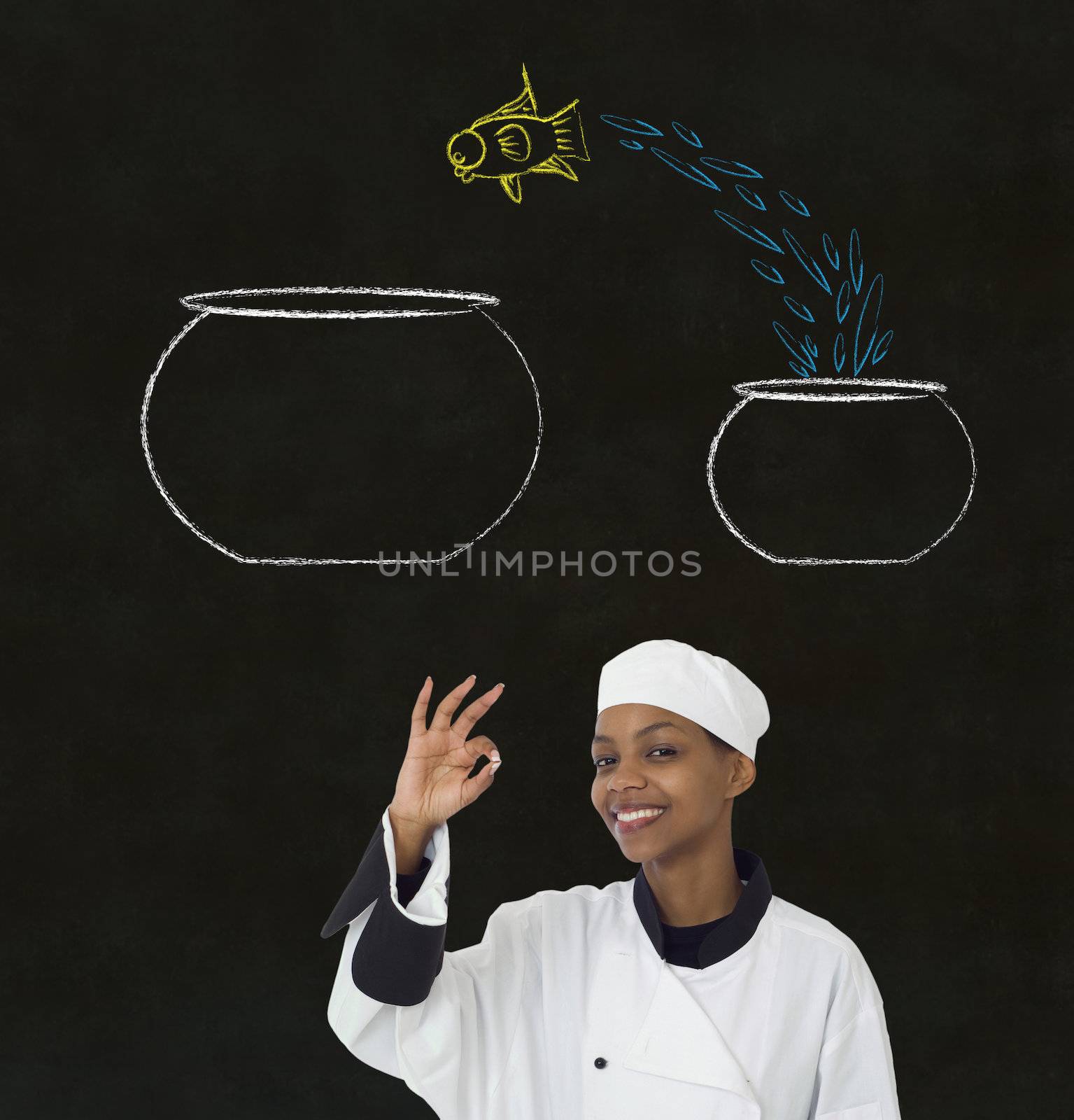 Woman chef jumping fish decision chalk blackboard background by alistaircotton