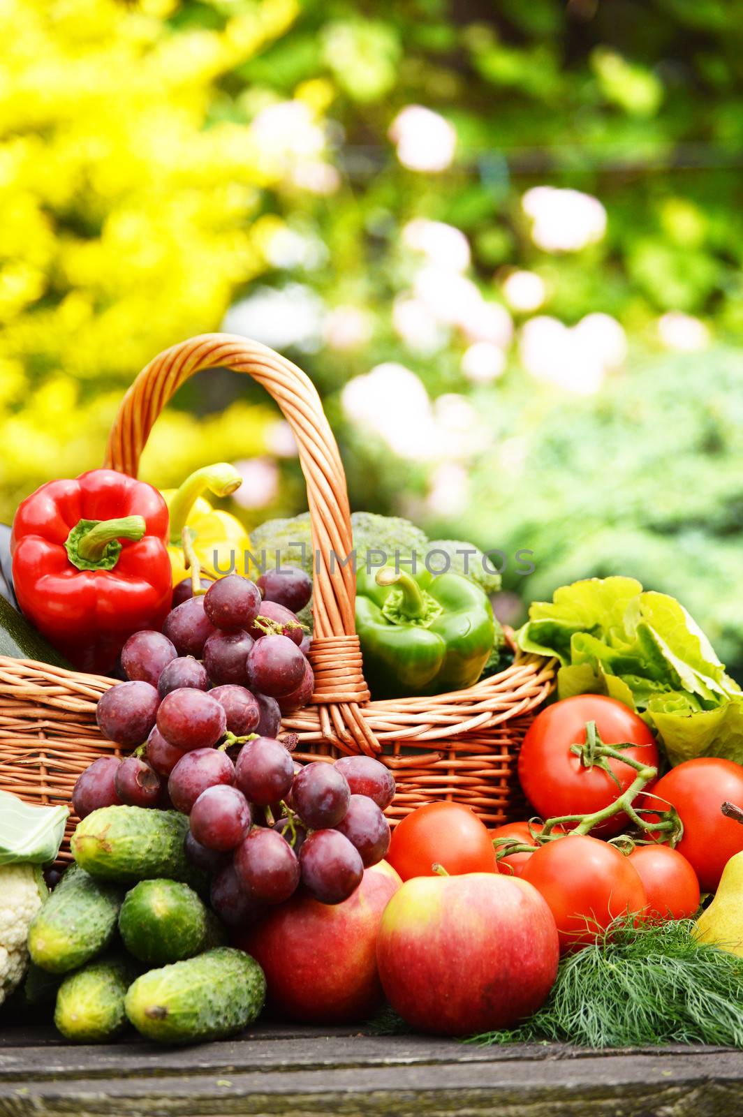 Fresh organic vegetables in wicker basket in the garden