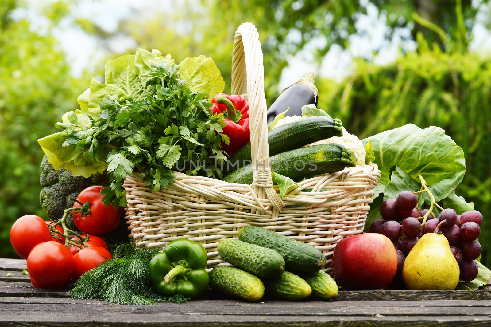 Fresh organic vegetables in wicker basket in the garden