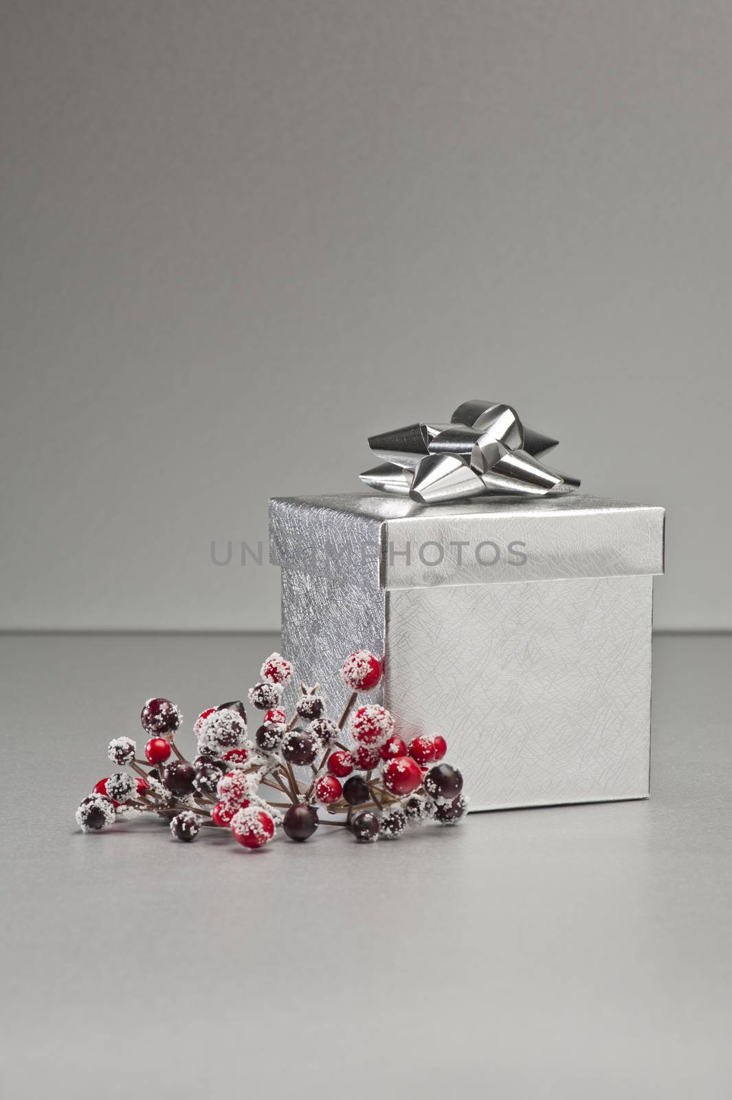 Silver present in Christmas setting with red green deco