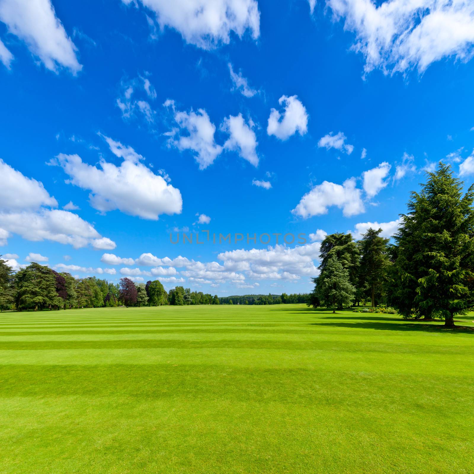 Summer landscape with green park lawn and blue sky