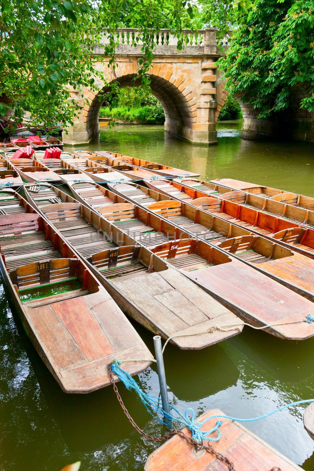 Moored punts on the river Cherwell in Oxford