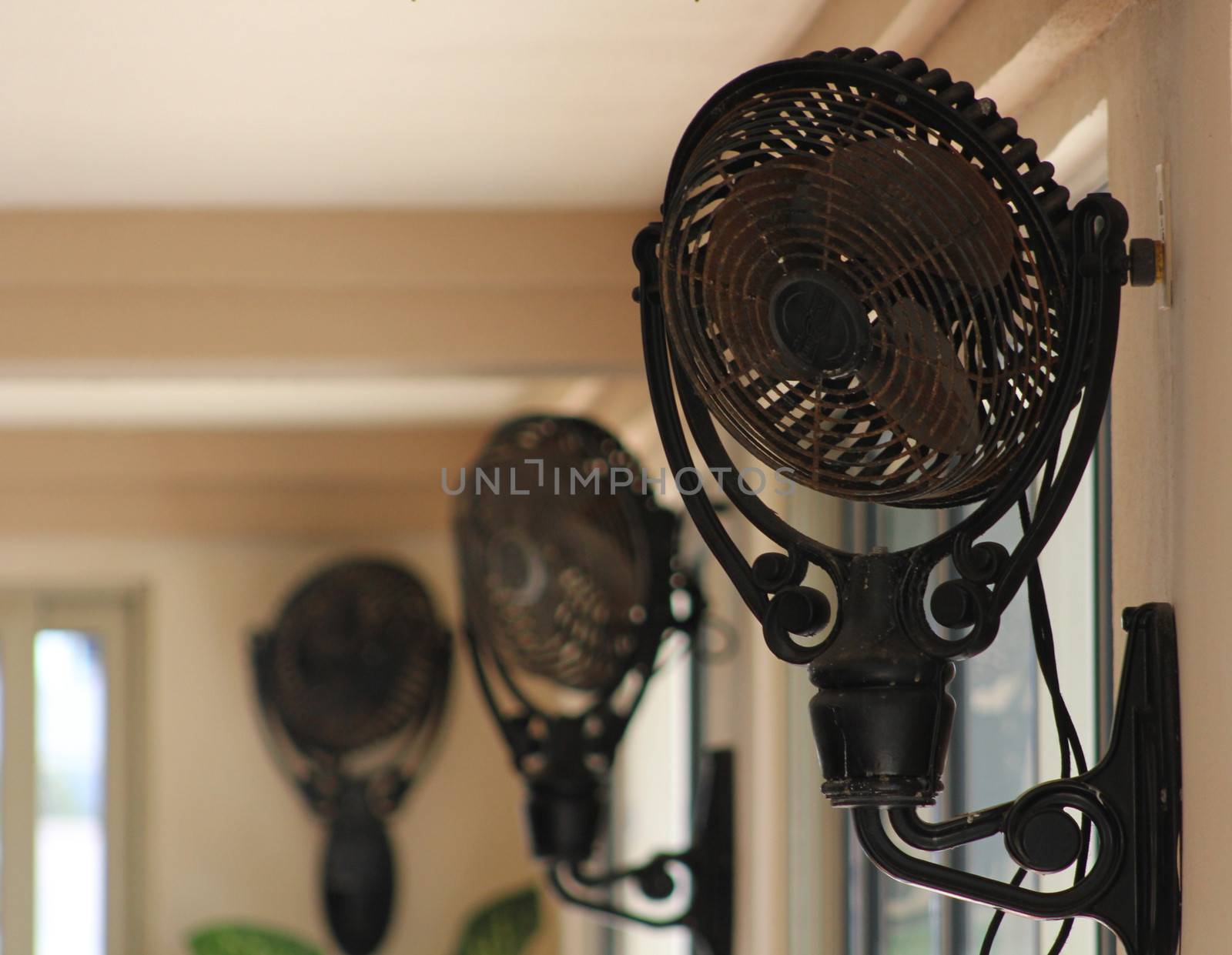 Three vintage fans mounted near the ceiling to provide a breeze in a very large room.
