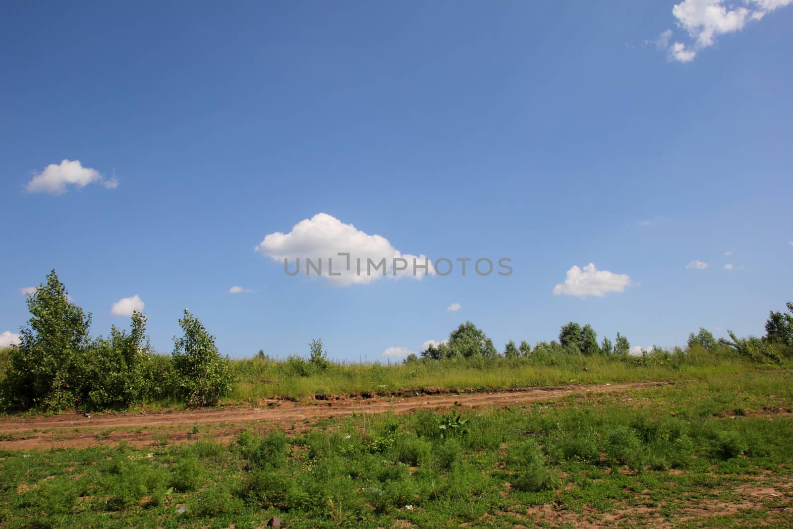 landscape with green meadows, sky and clouds