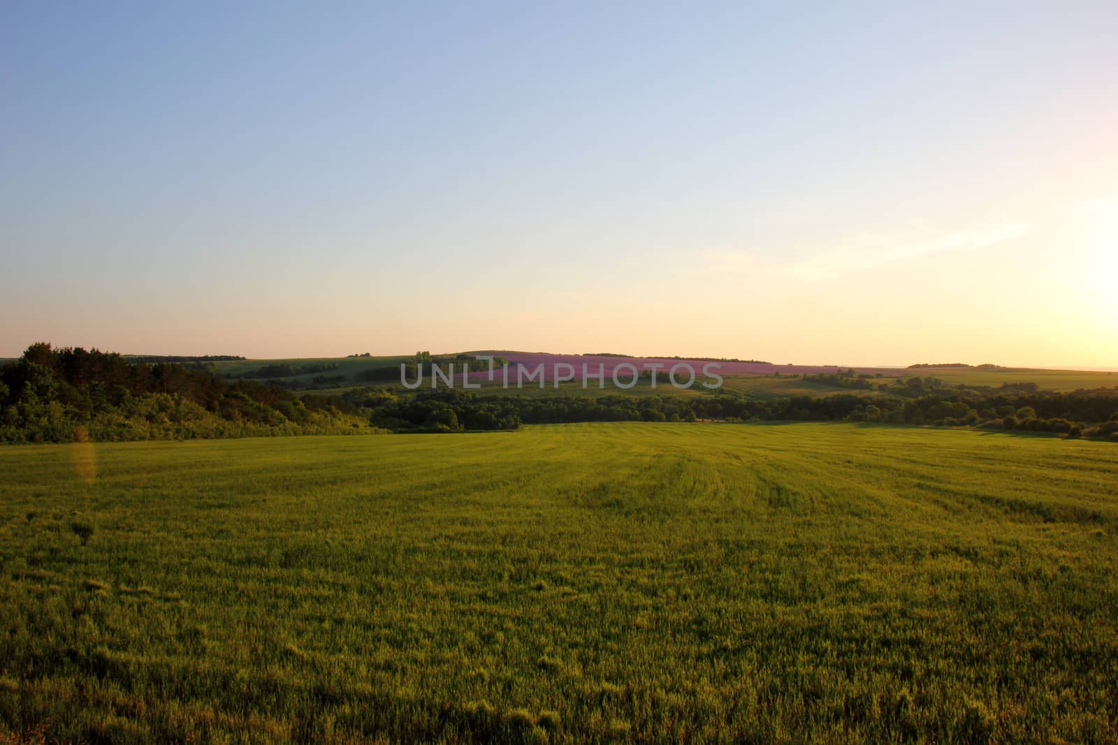 landscape with green field and blue sky