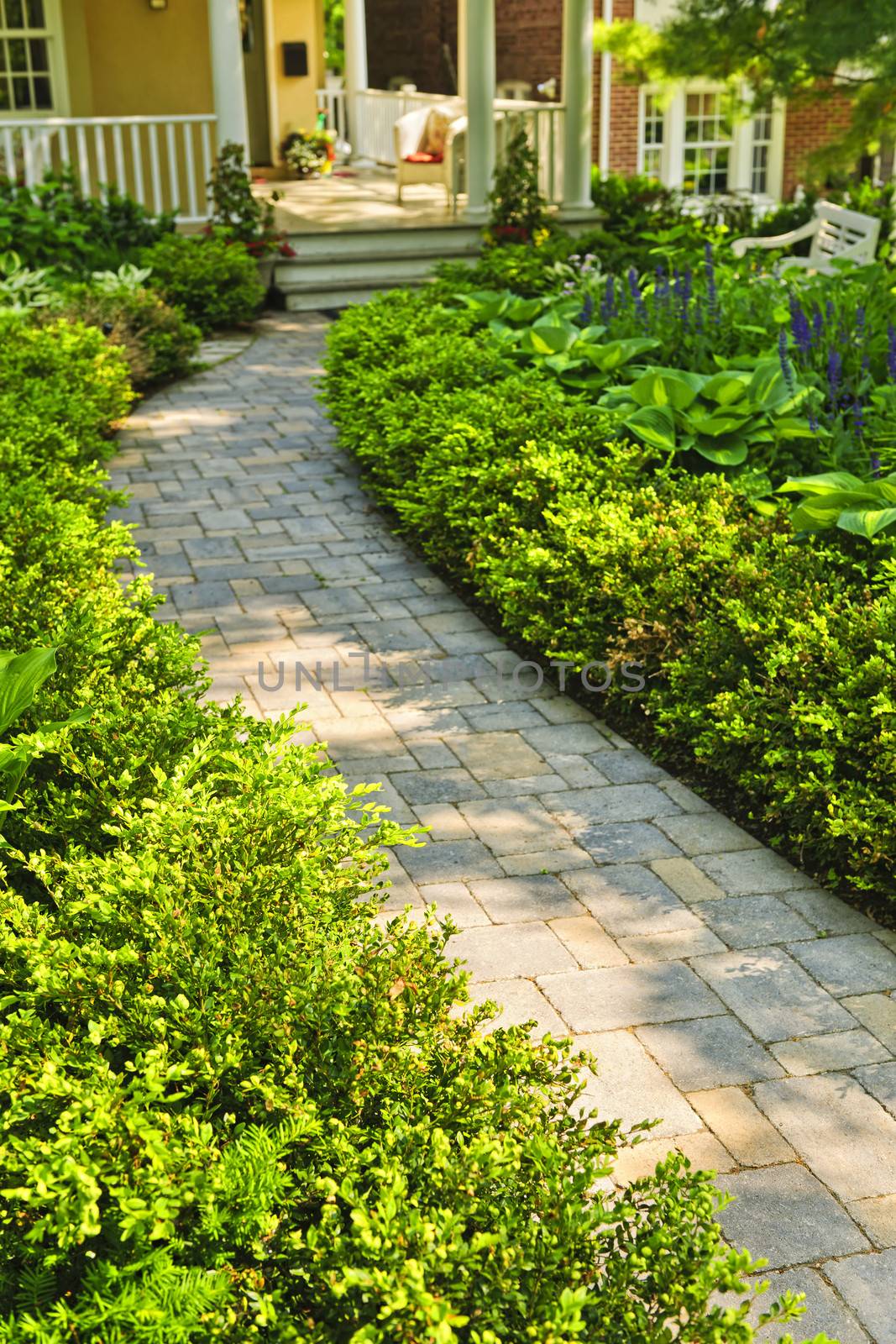 Stone path in landscaped home garden by elenathewise