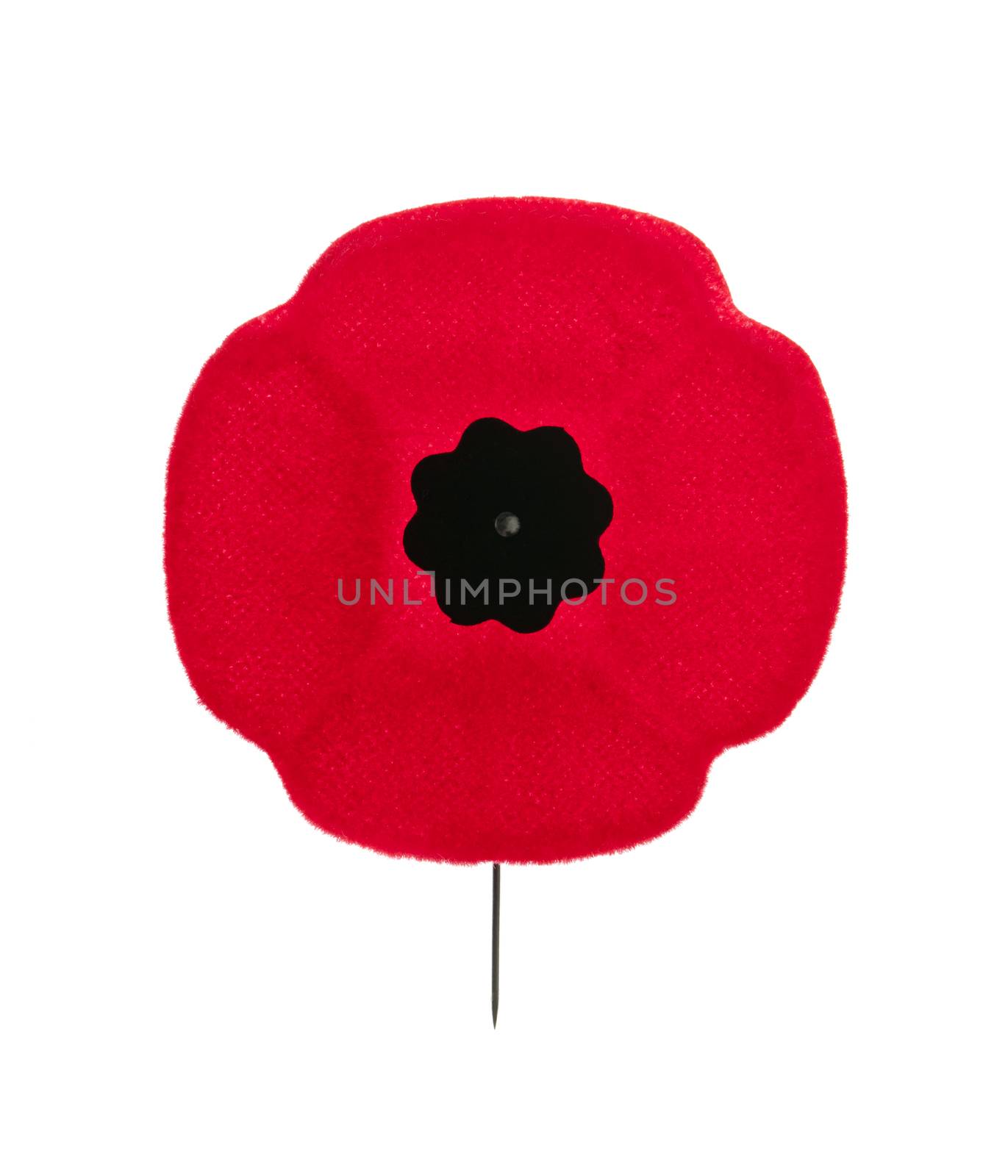 Red poppy lapel pin for Remembrance Day