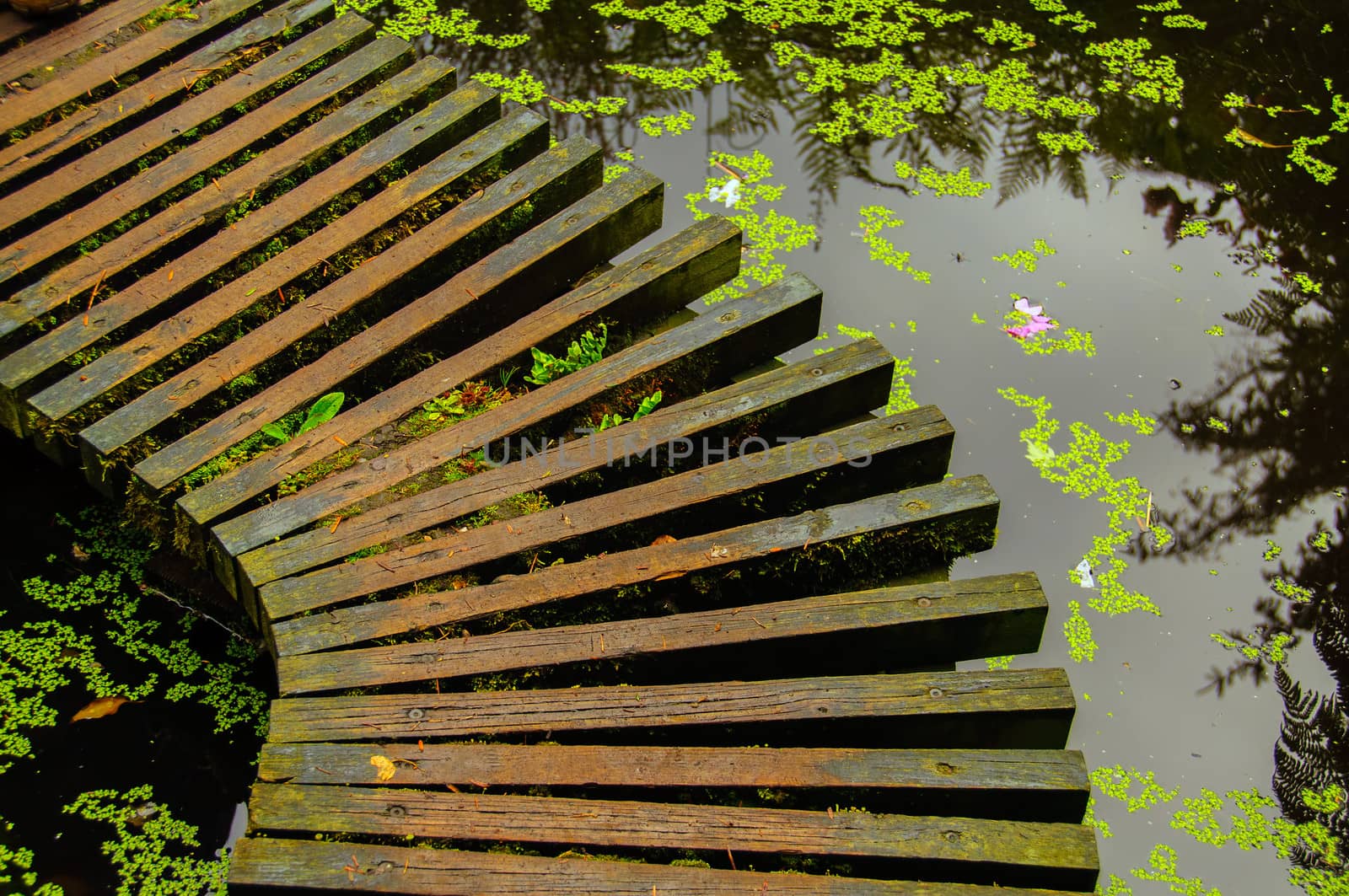 A brown wooden bridge in a japanese garden