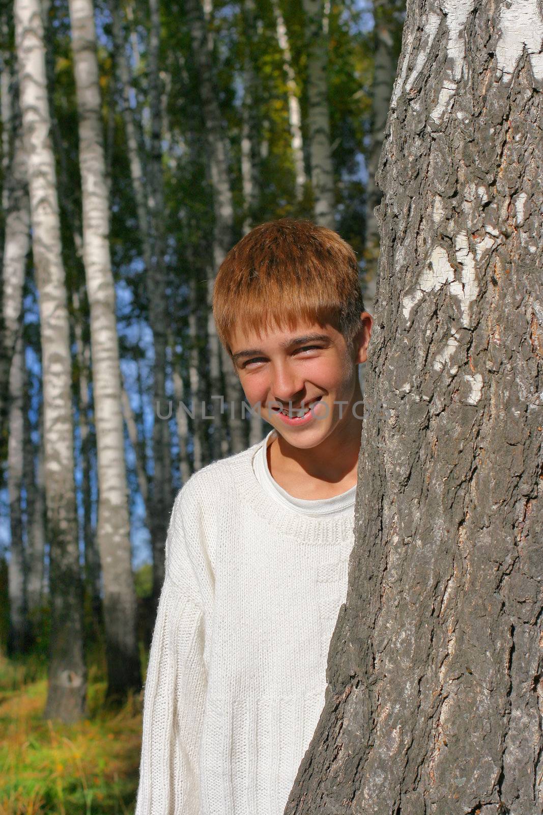 boy stand near the brich in autumn forest