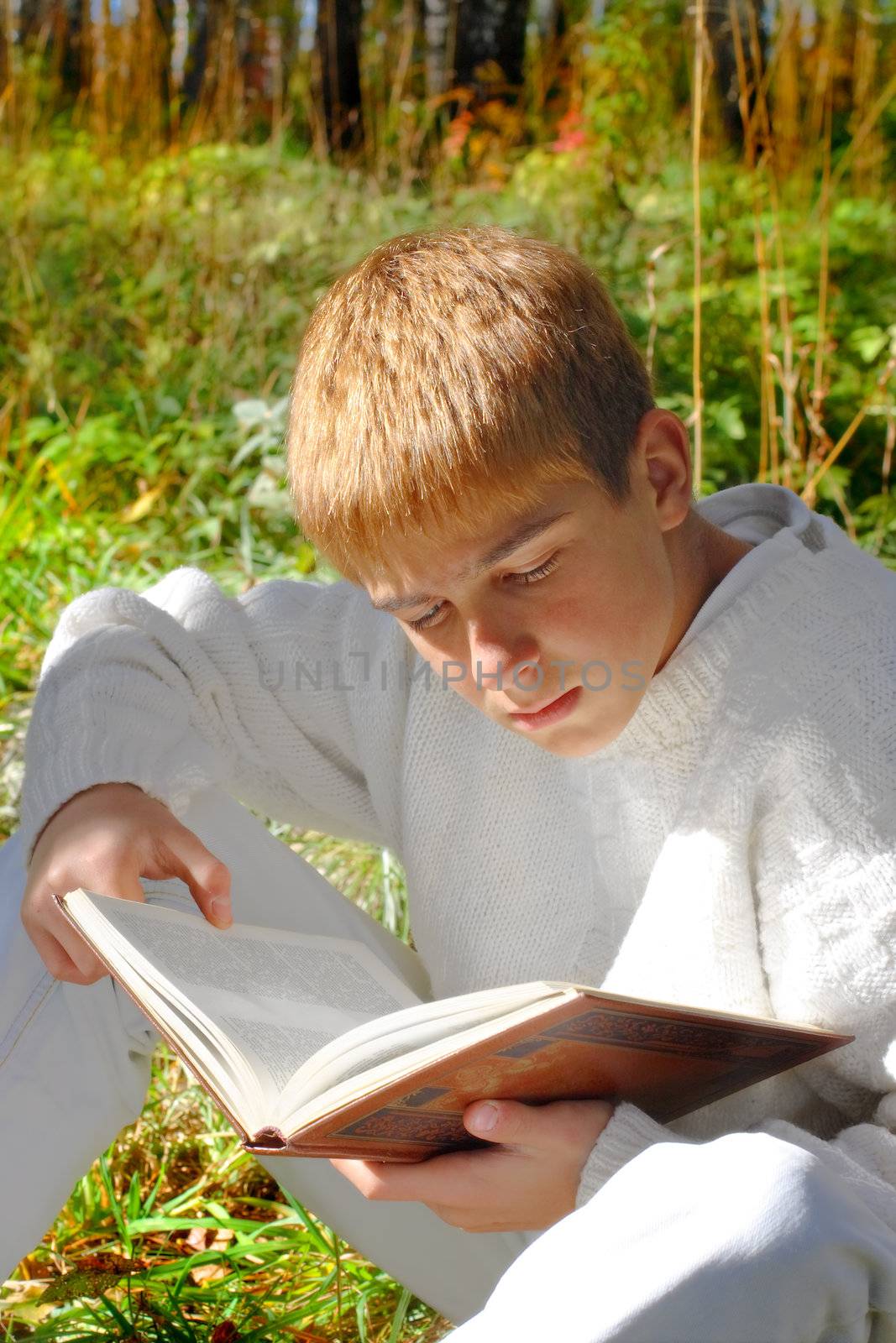 reading boy sit in autumn forest with a book