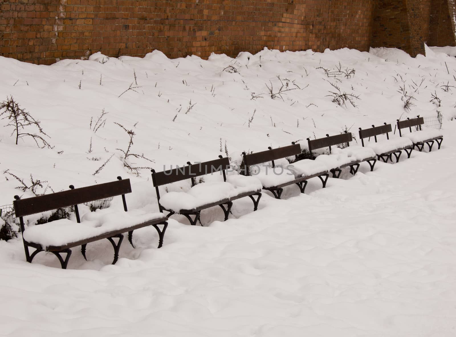 benches in park at winter