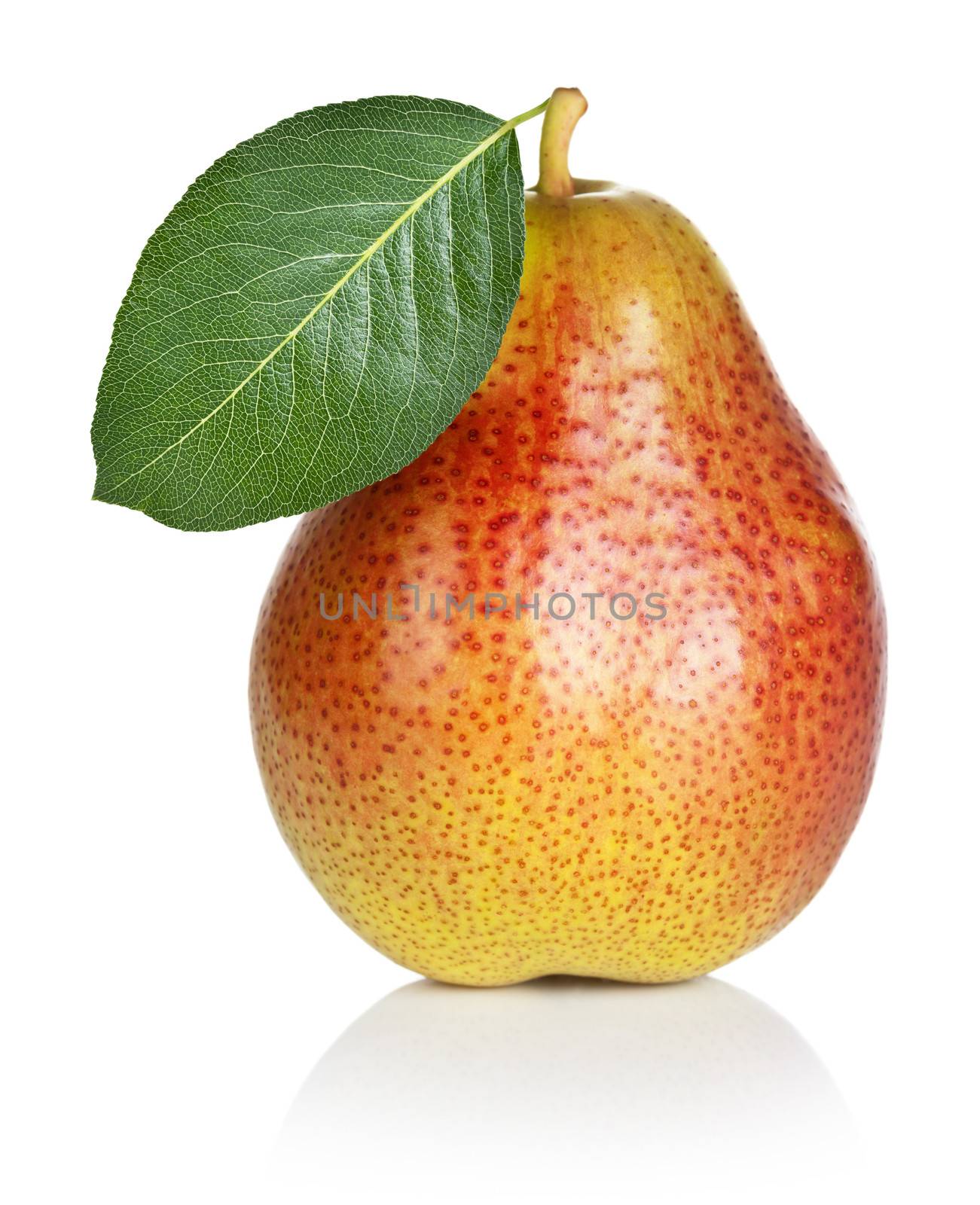 Pear by bozena_fulawka