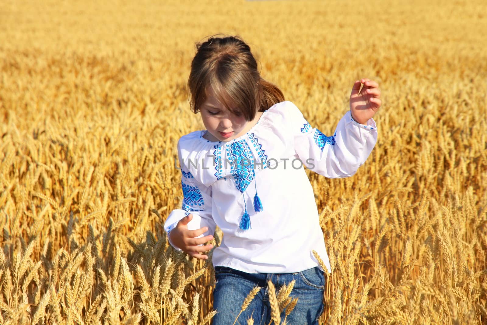 small rural girl on wheat field by vladacanon