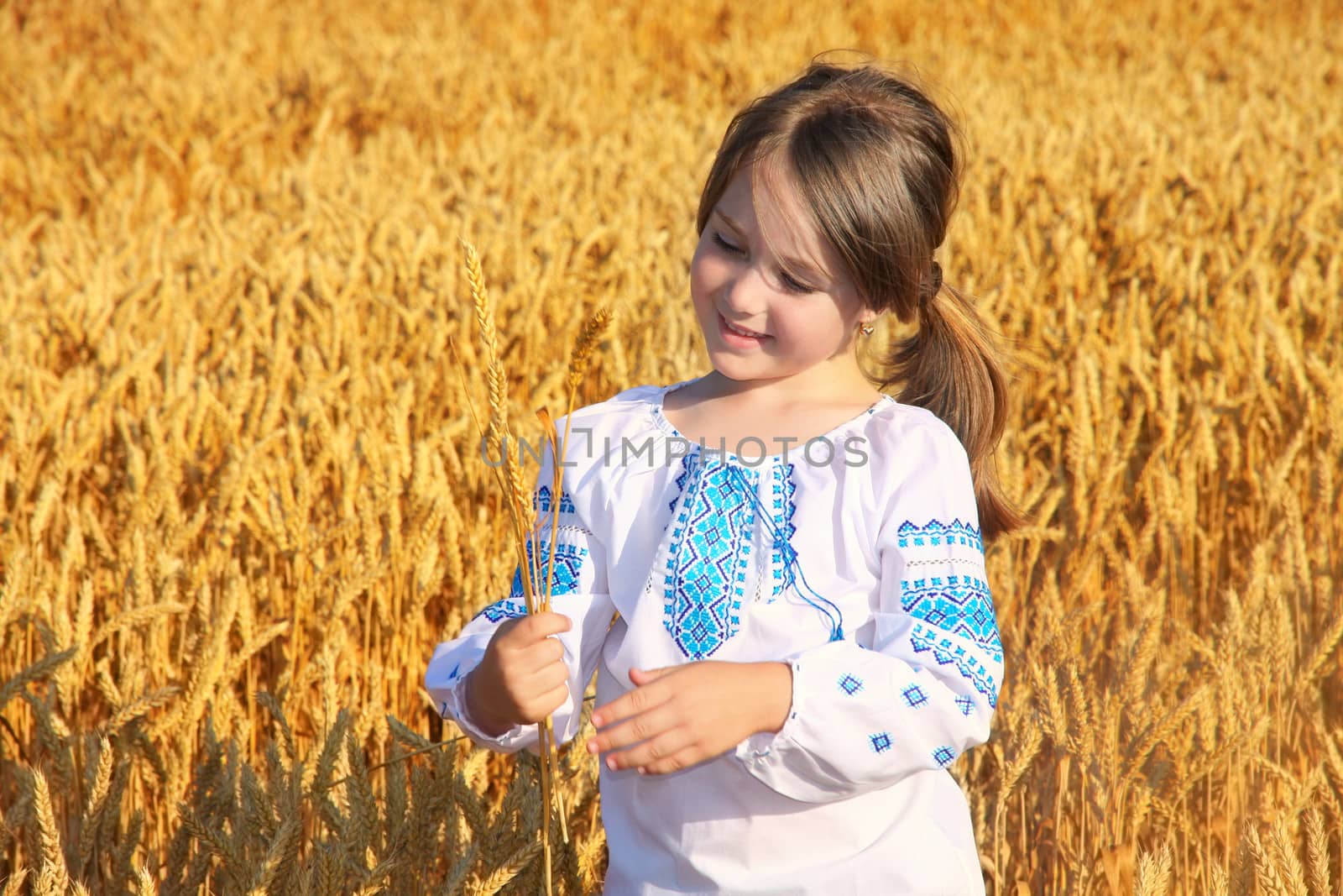 small rural girl on wheat field