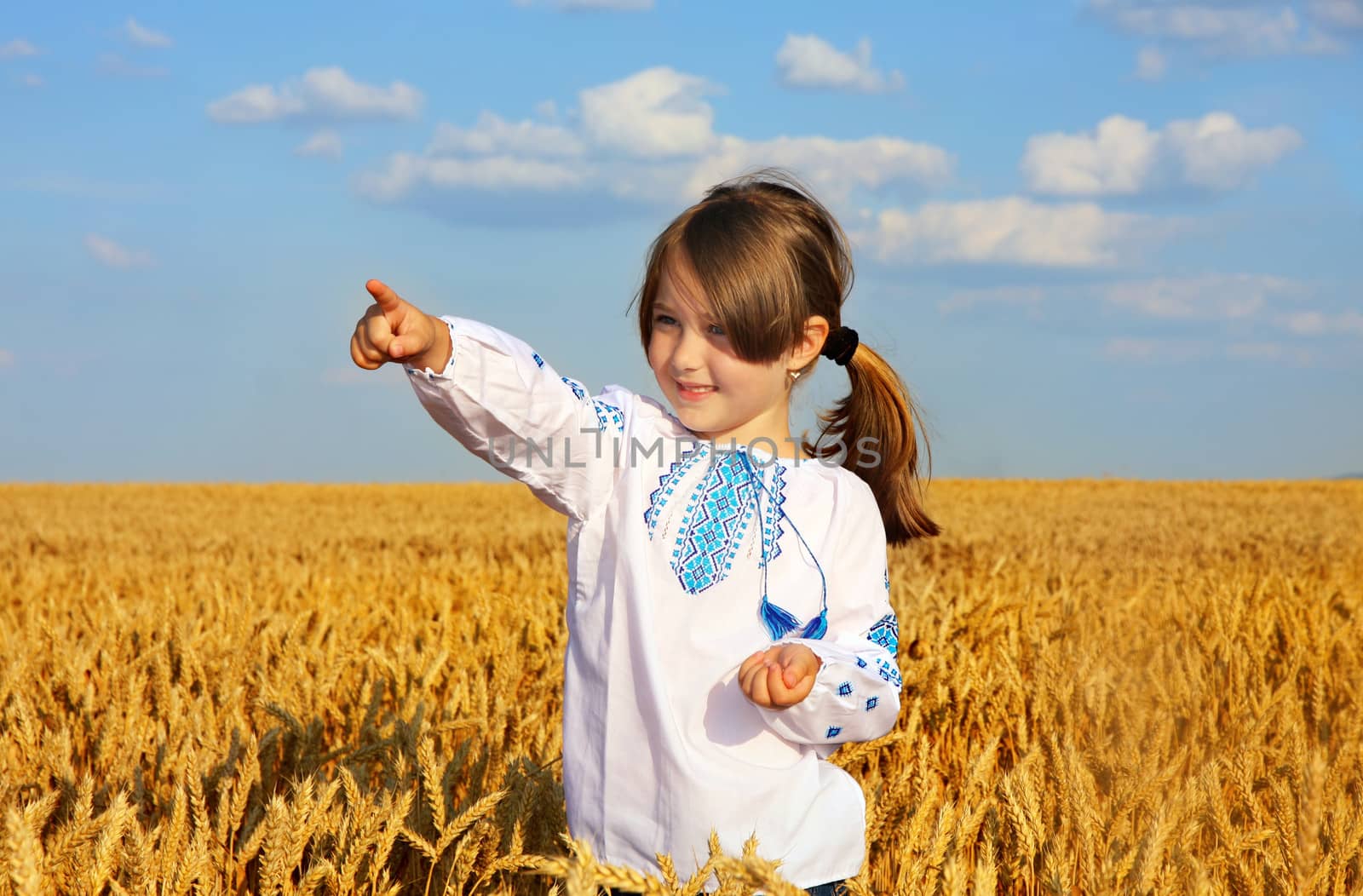 small rural girl on wheat field