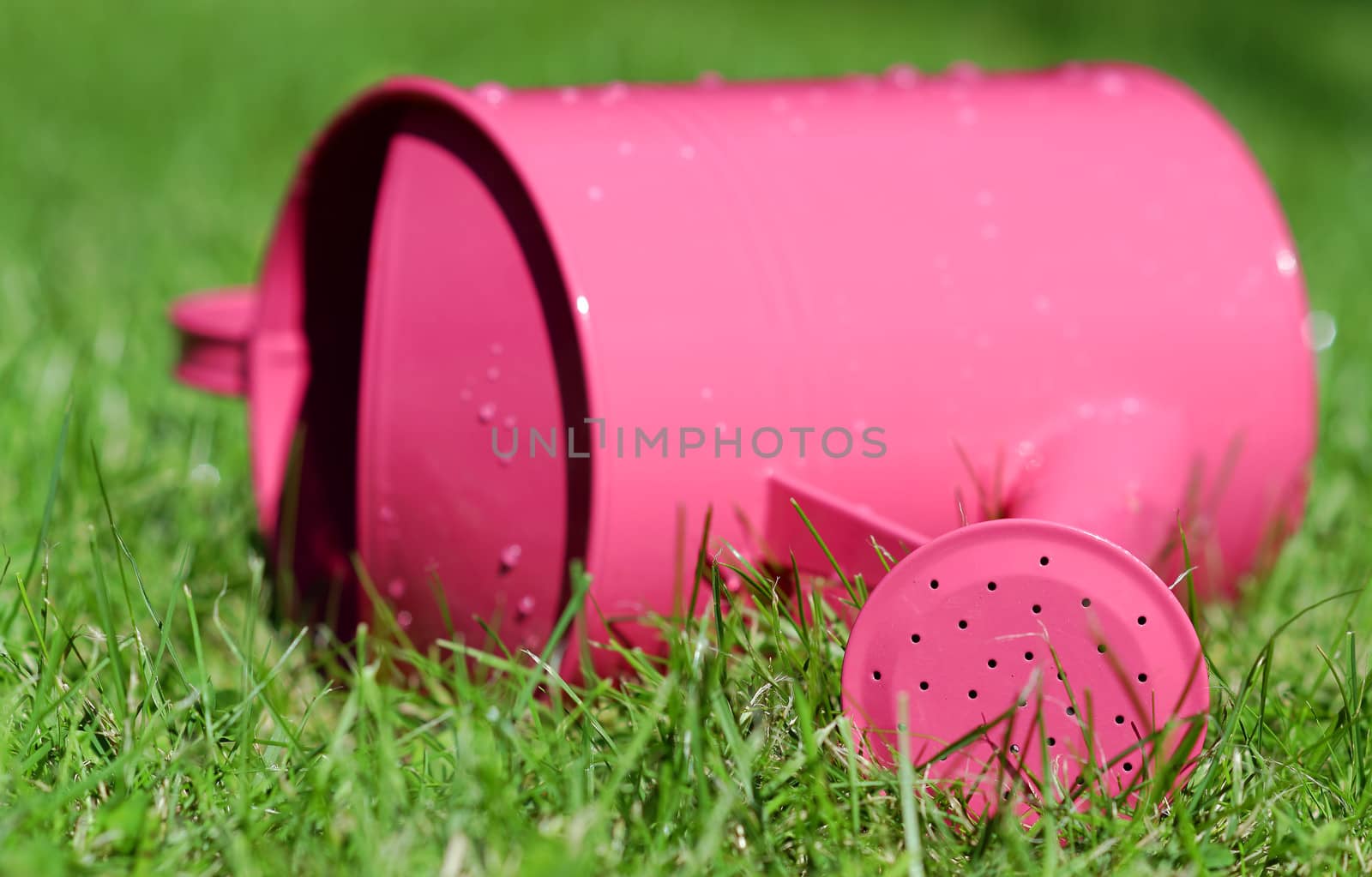 watering can by gufoto