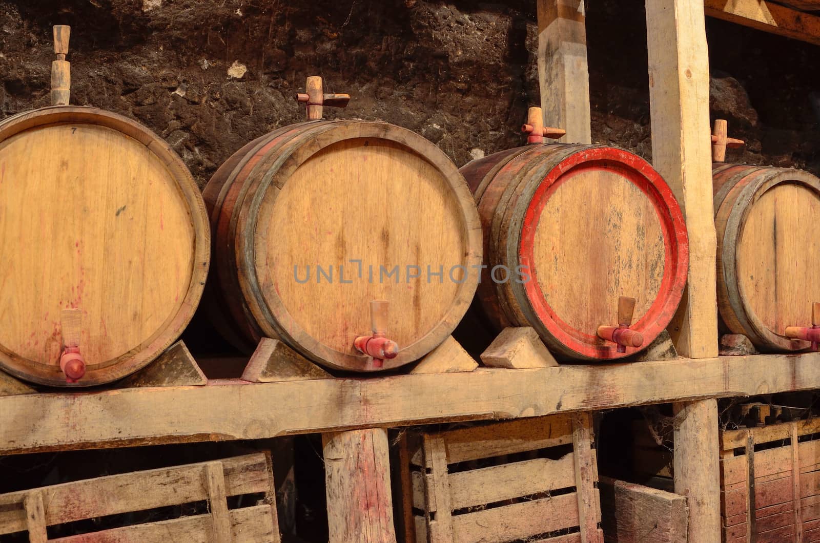 Wooden wine barrels in an underground cellar by velislava