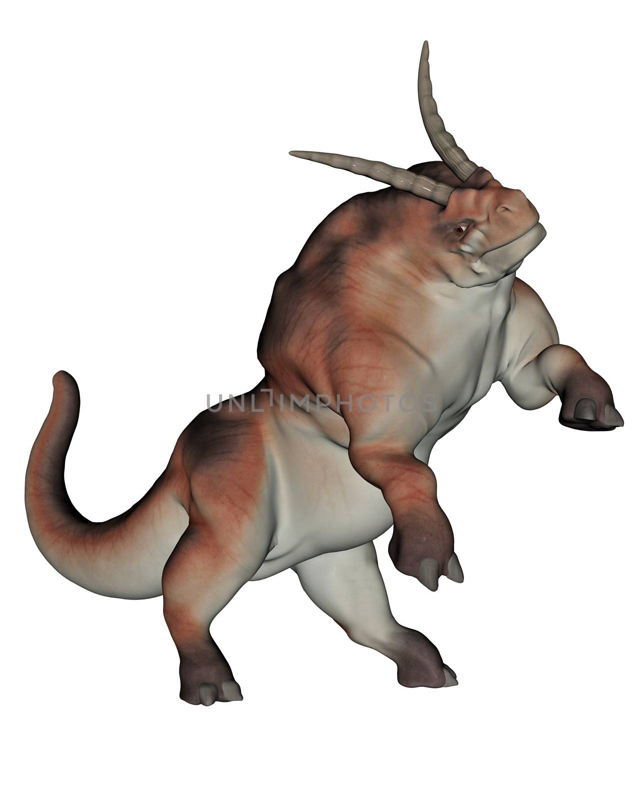 One herdbeast standing on back feet in white background