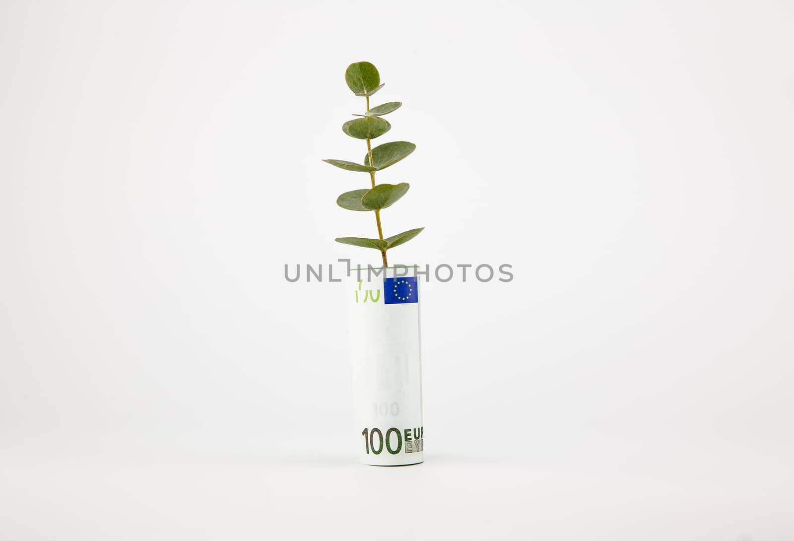  bank note and plant by vinnstock