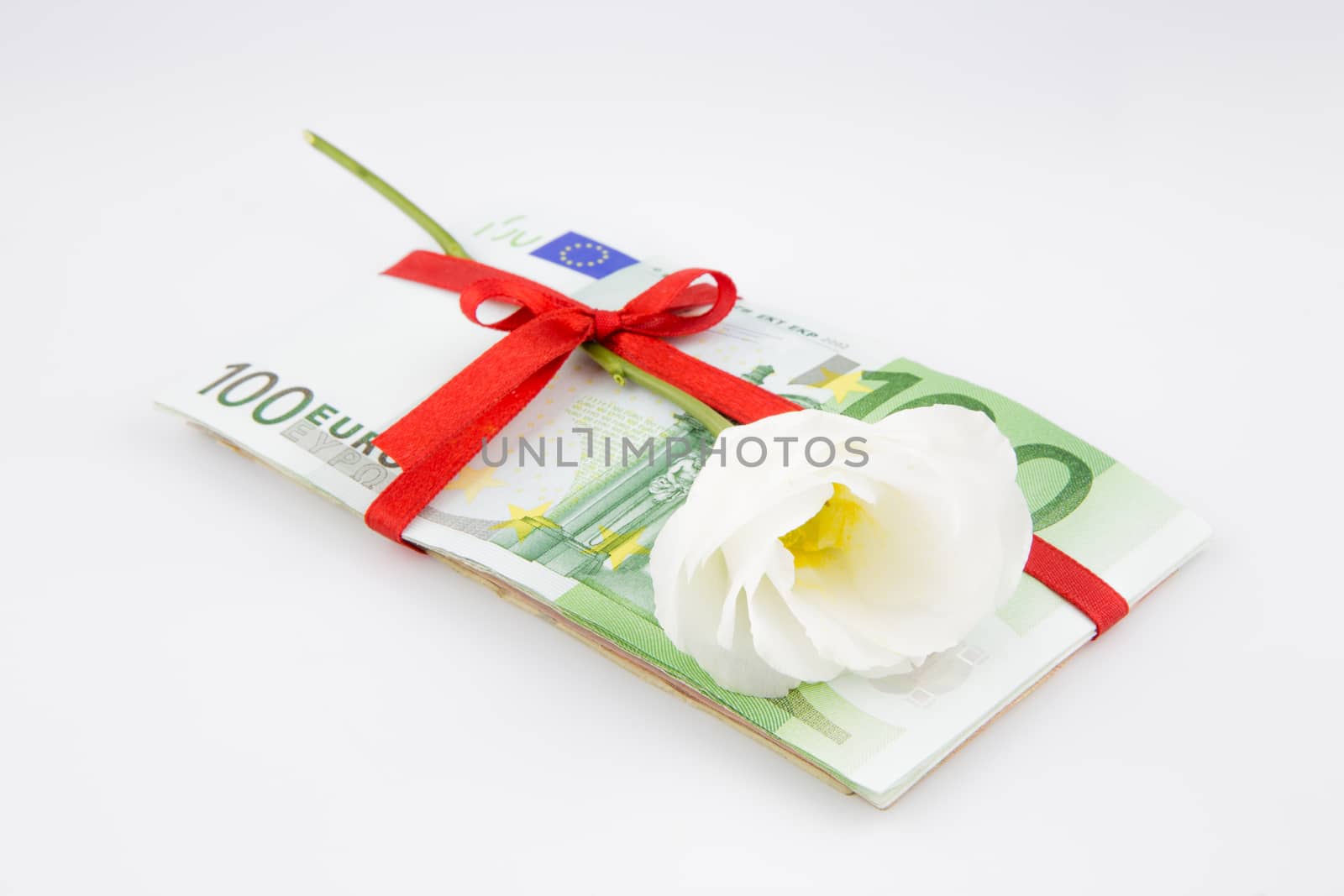 gift of money with flower for celebration, eurozone currency