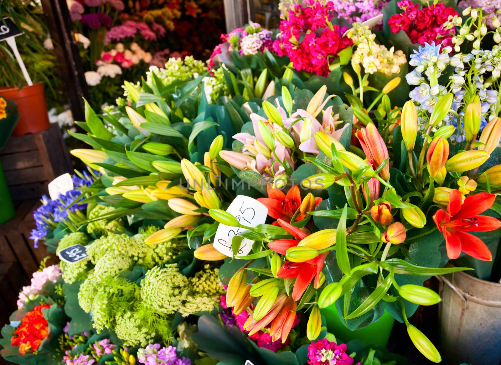 Flowers at street market in England